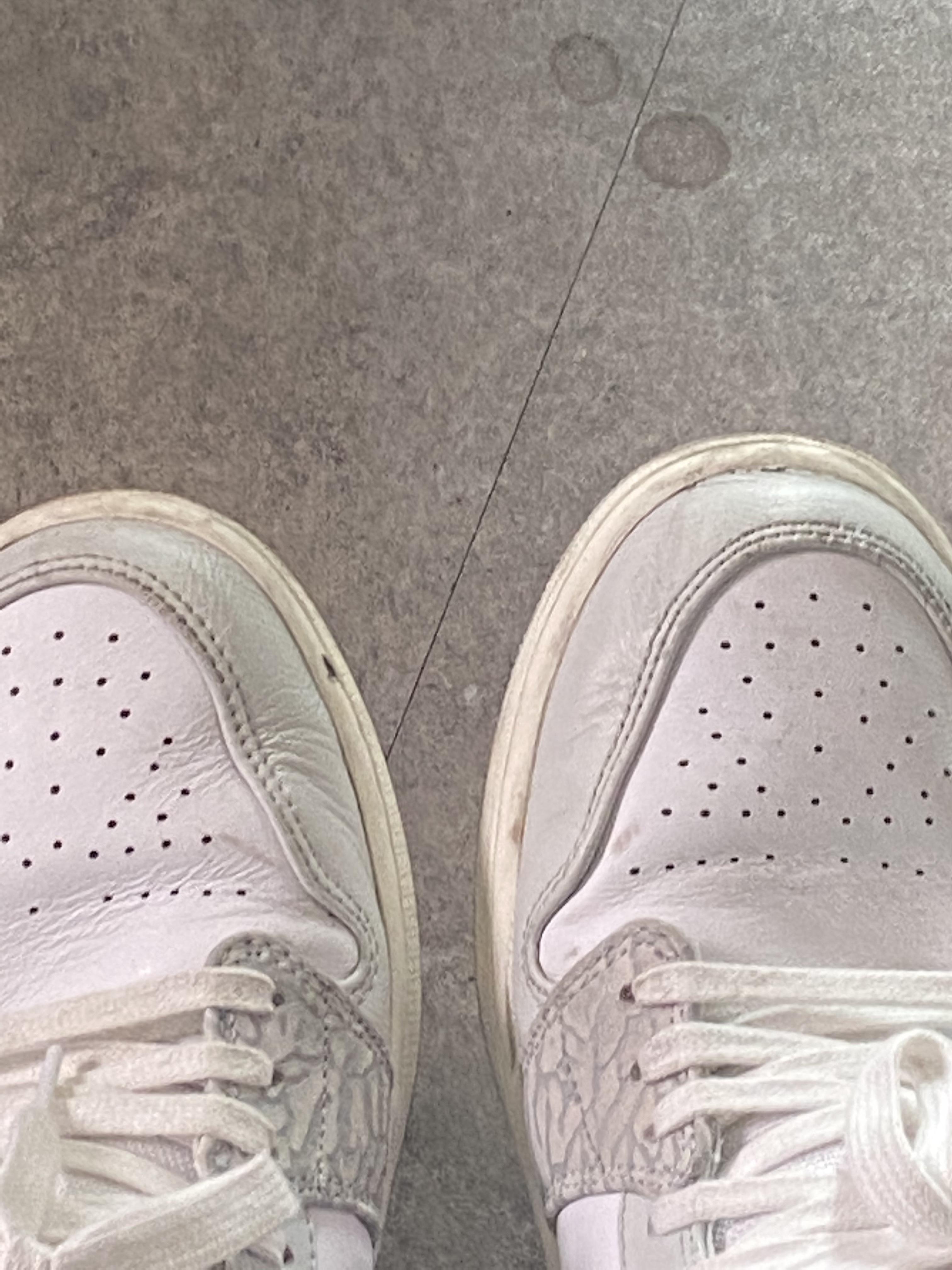 Jordan 1 Low PRM Elephant Print 착용 스타일