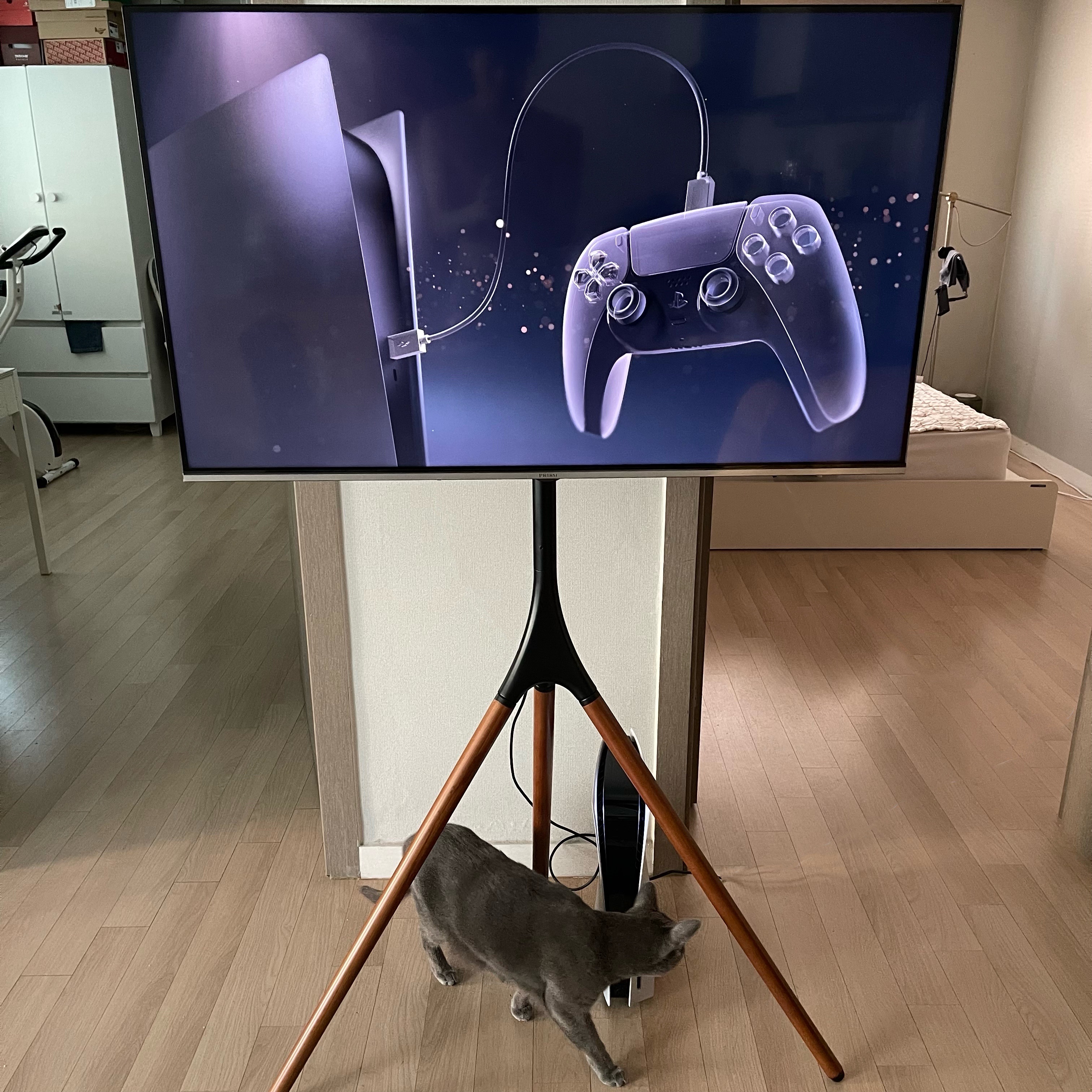 Playstation 5 Blu-ray Edition (SIEK 220V) 착용 스타일 - 2