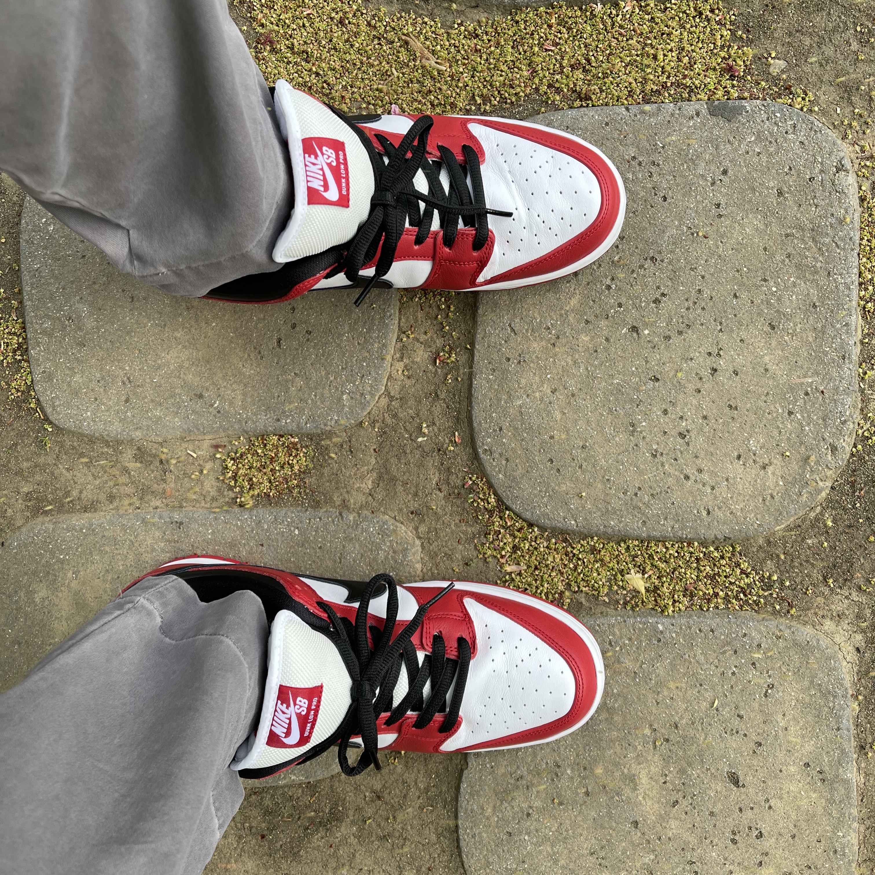 Nike SB Dunk Low Pro Chicago 착용 스타일 - 3