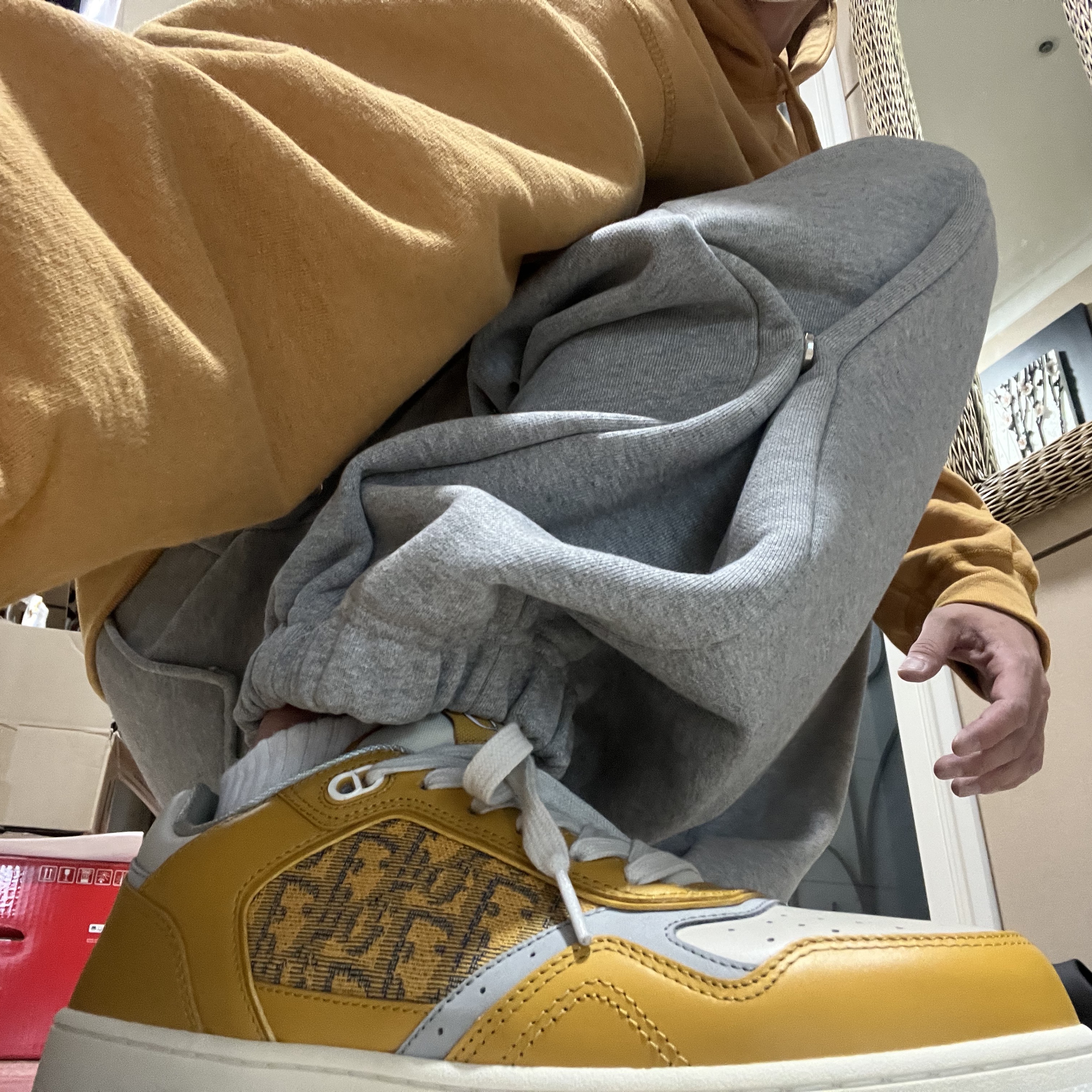 Dior B27 Low-Top Sneakers Gray, Supreme Box Logo Hooded Sweatshirt Light Mustard - 21FW 착용 스타일 - 1