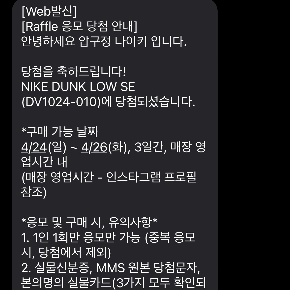 Nike Dunk Low SE Velvet Brown and Black 착용 스타일