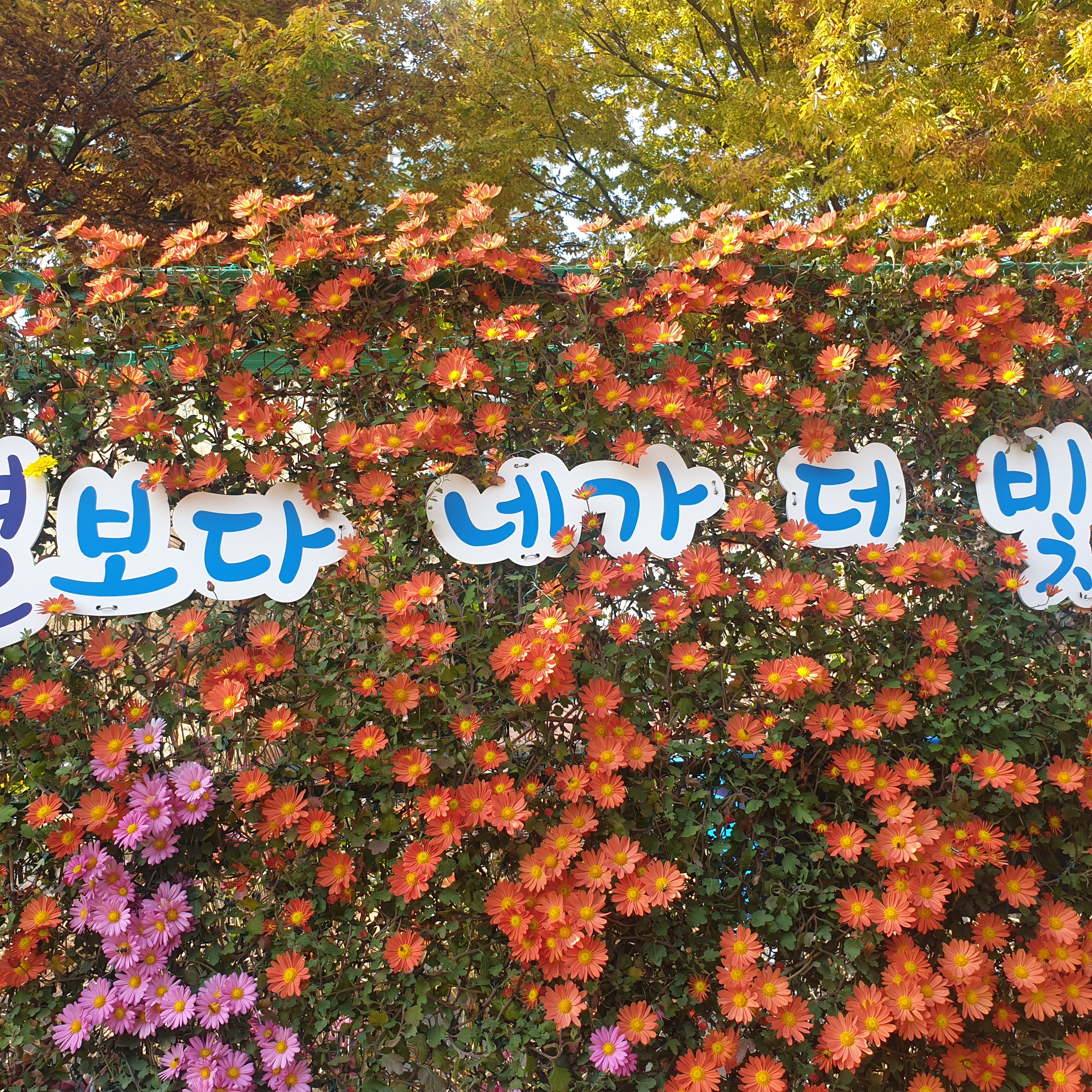 sunga****님의 스타일