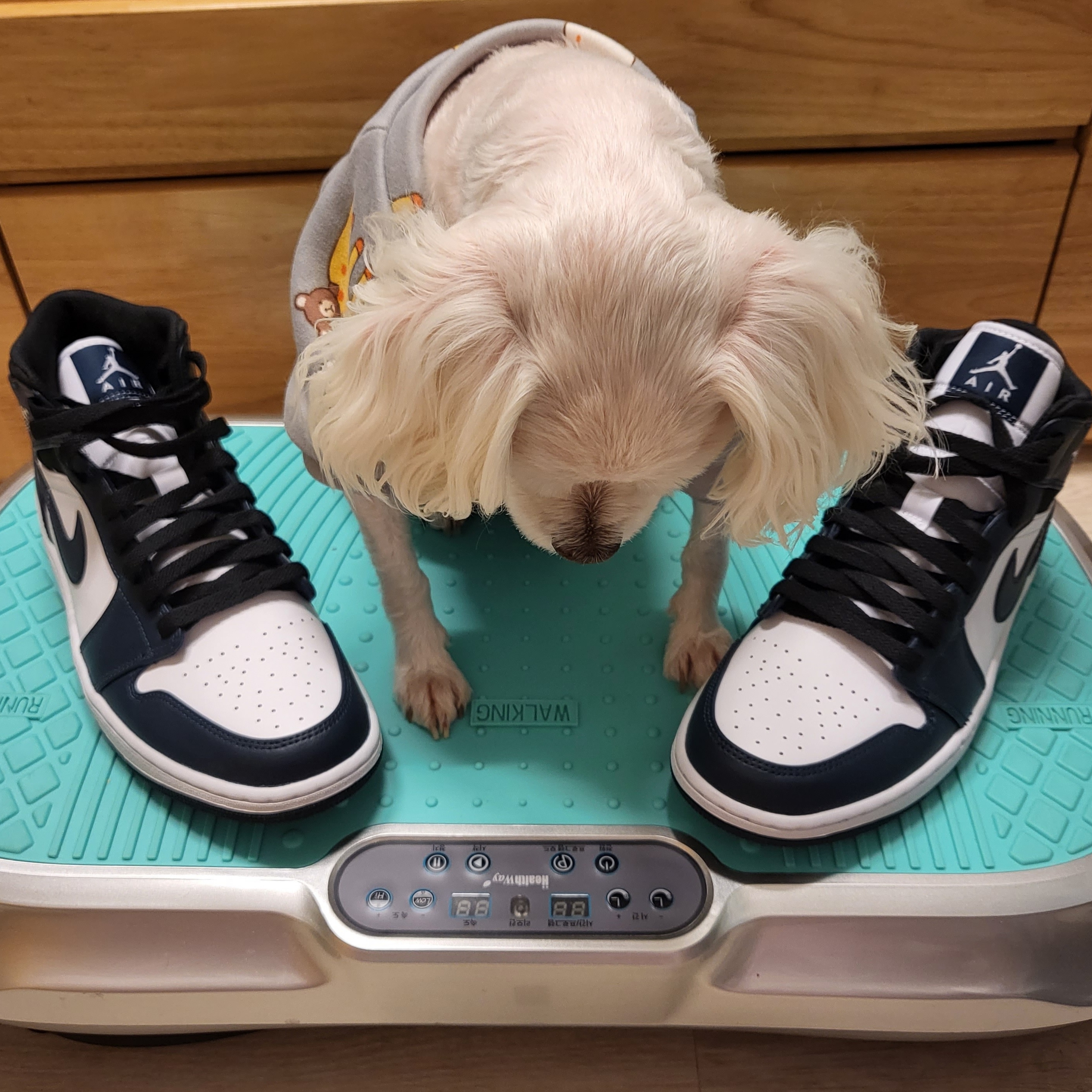 Jordan 1 Mid Dark Teal 착용 스타일