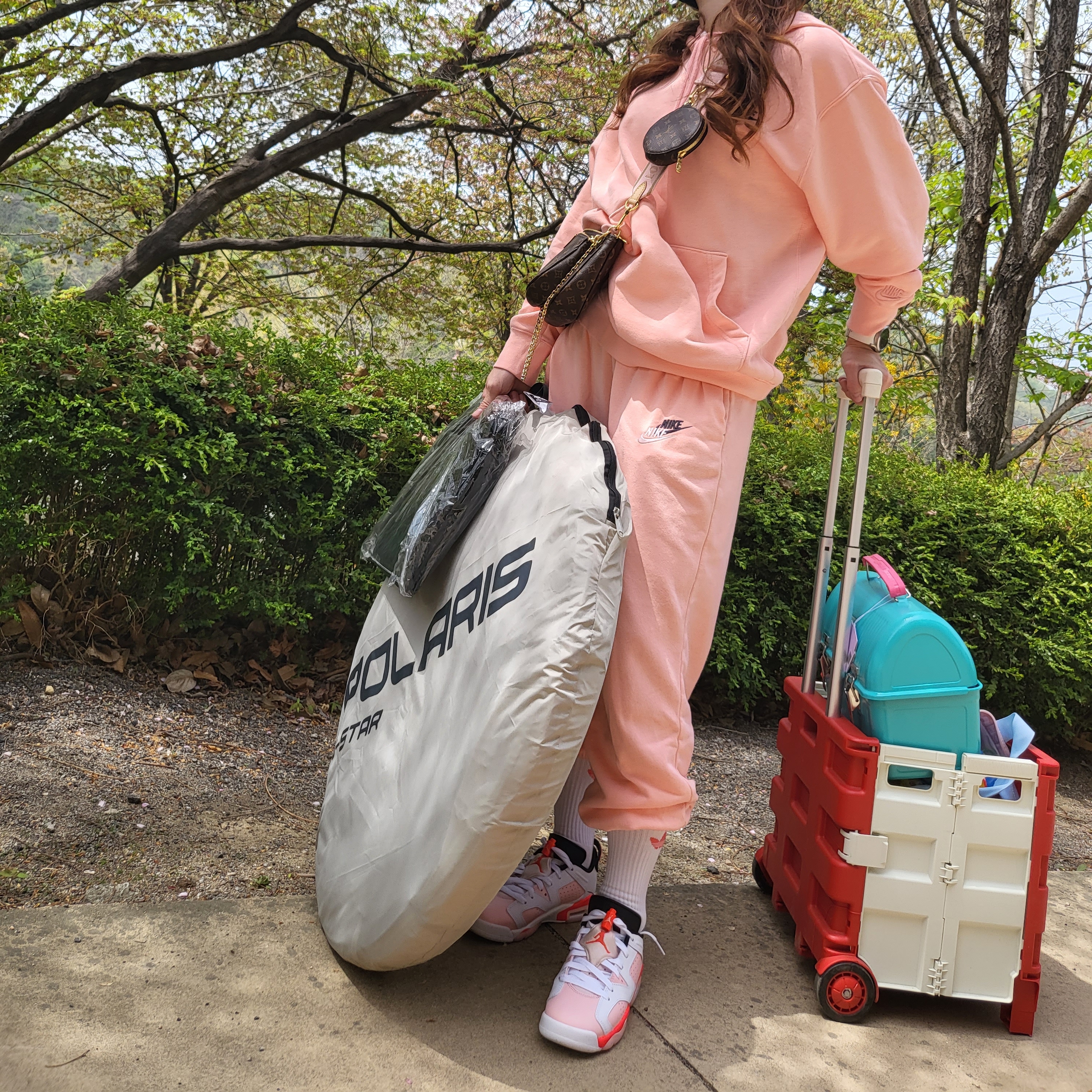 (GS) Jordan 6 Low Atmosphere, Louis Vuitton Multi Pochette Accessoires Monogram Light Pink 착용 스타일