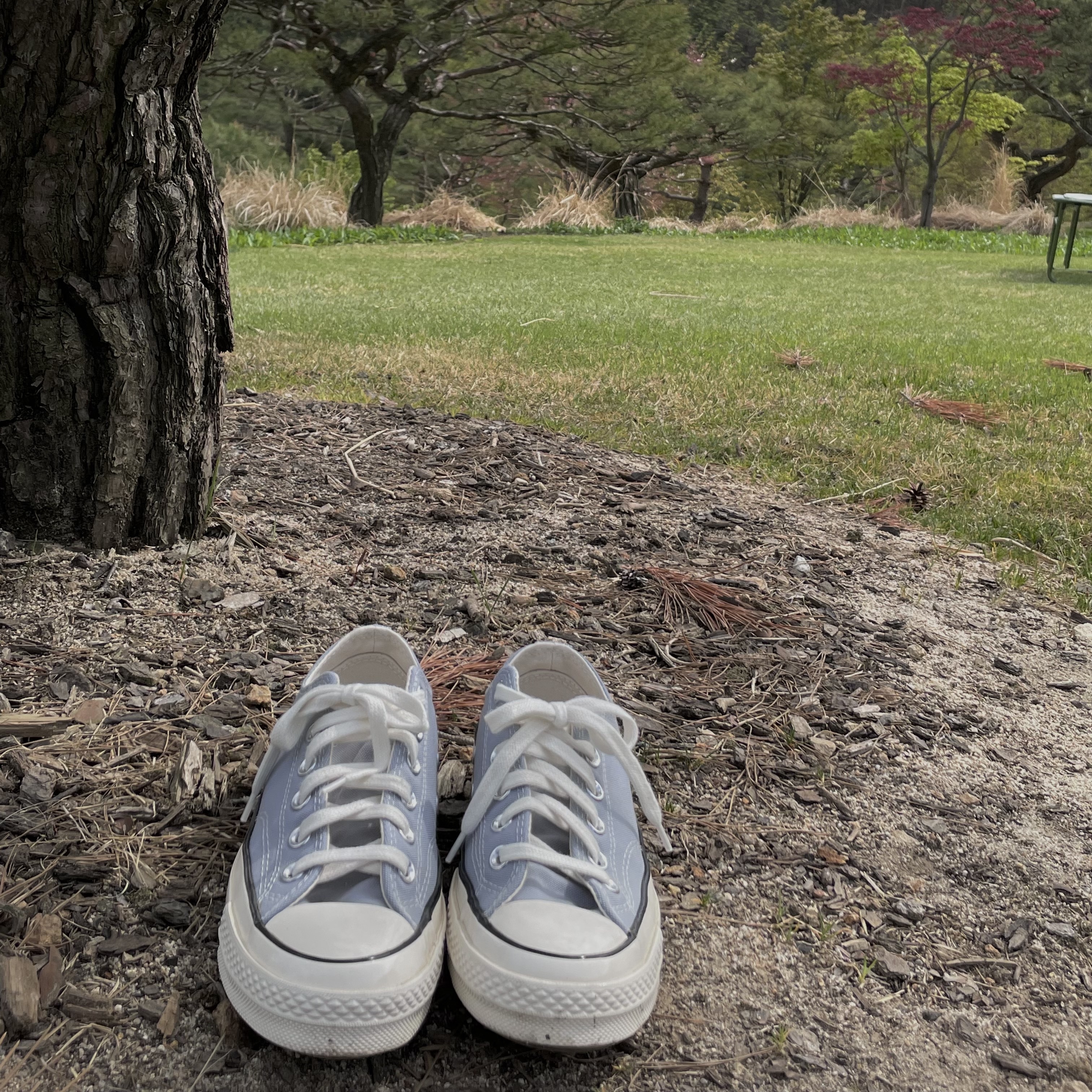 Converse Chuck 70 Ox Wolf Grey 착용 스타일 - 3