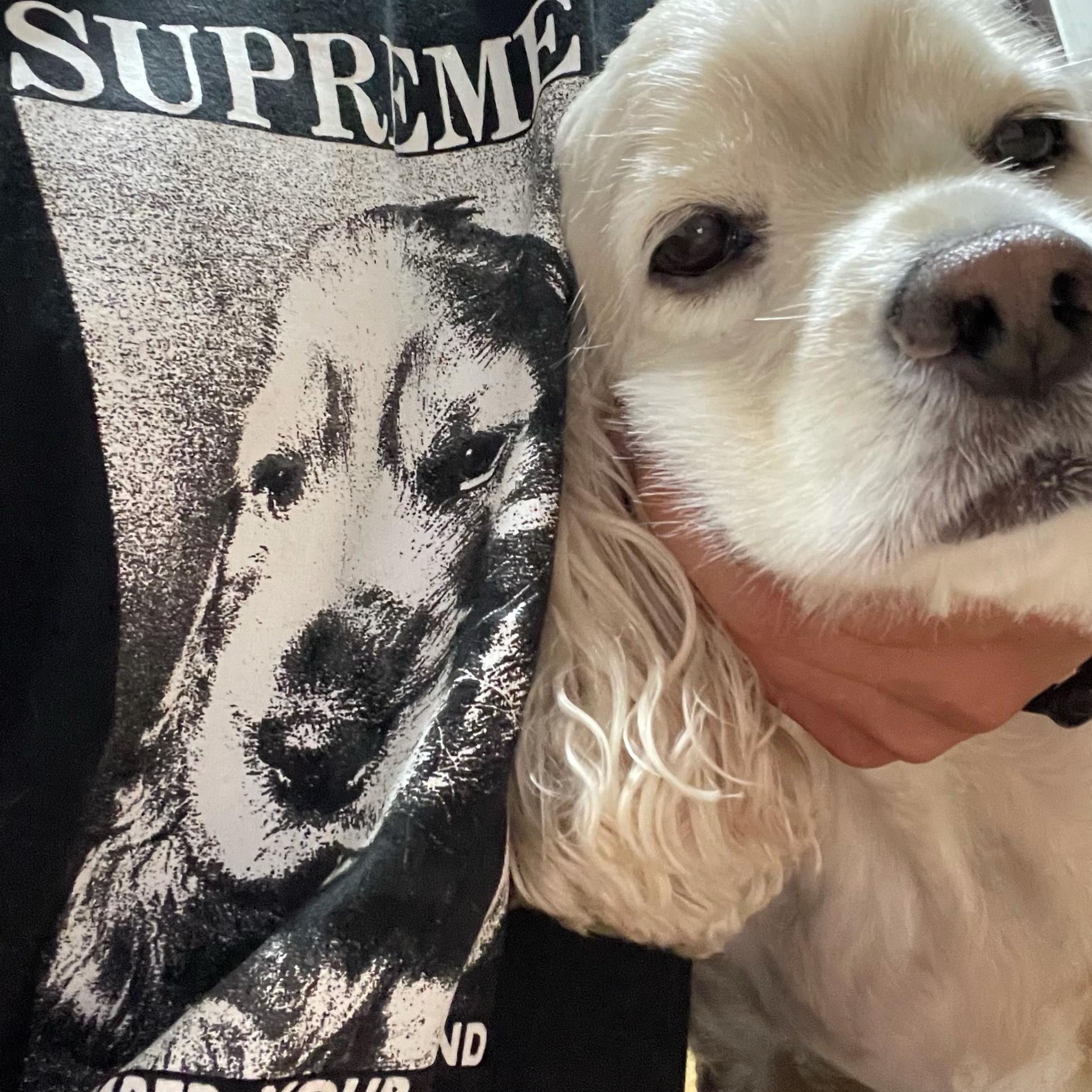 Supreme Remember T-Shirt Black - 18FW 착용 스타일