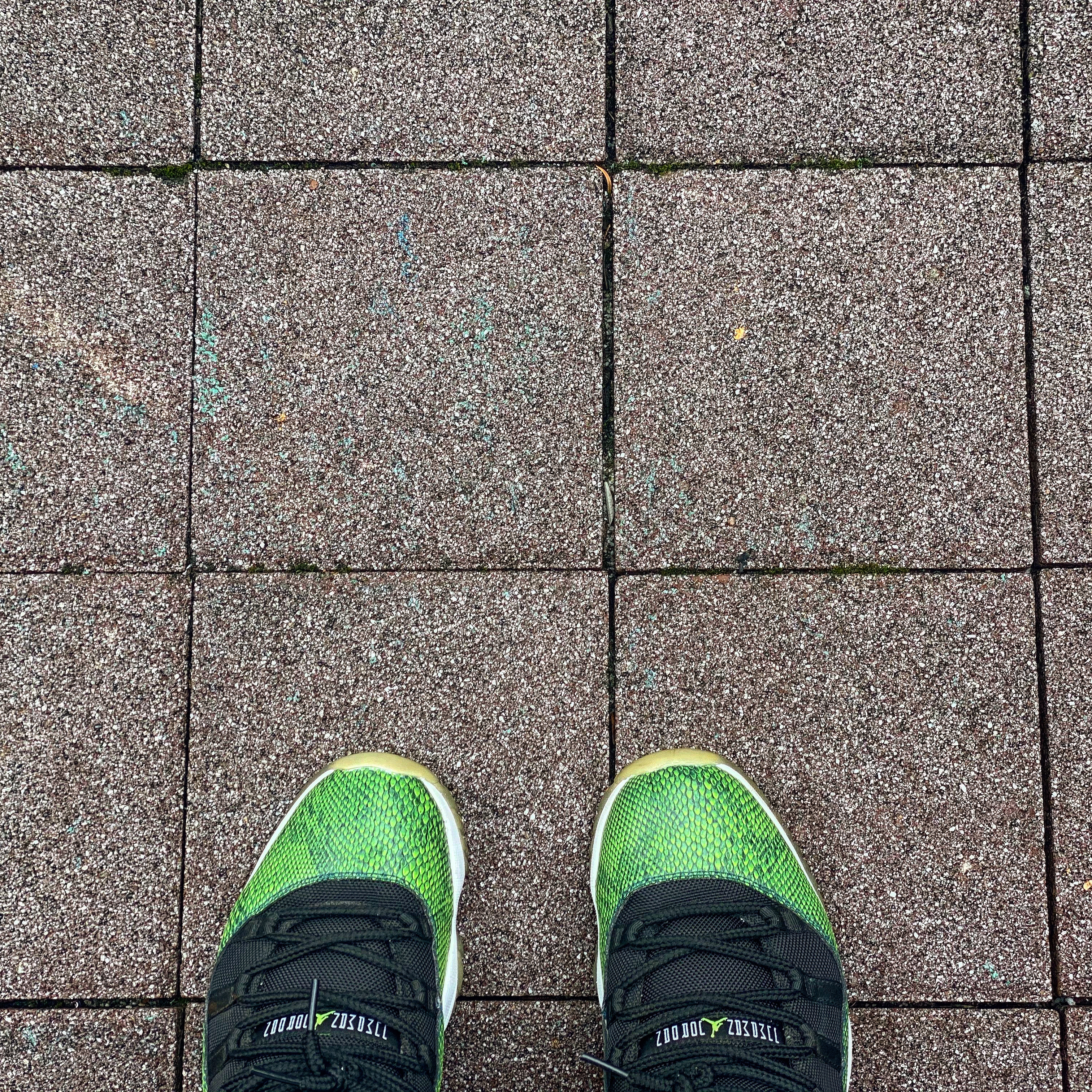 Jordan 11 Retro Low Green Snakeskin 착용 스타일