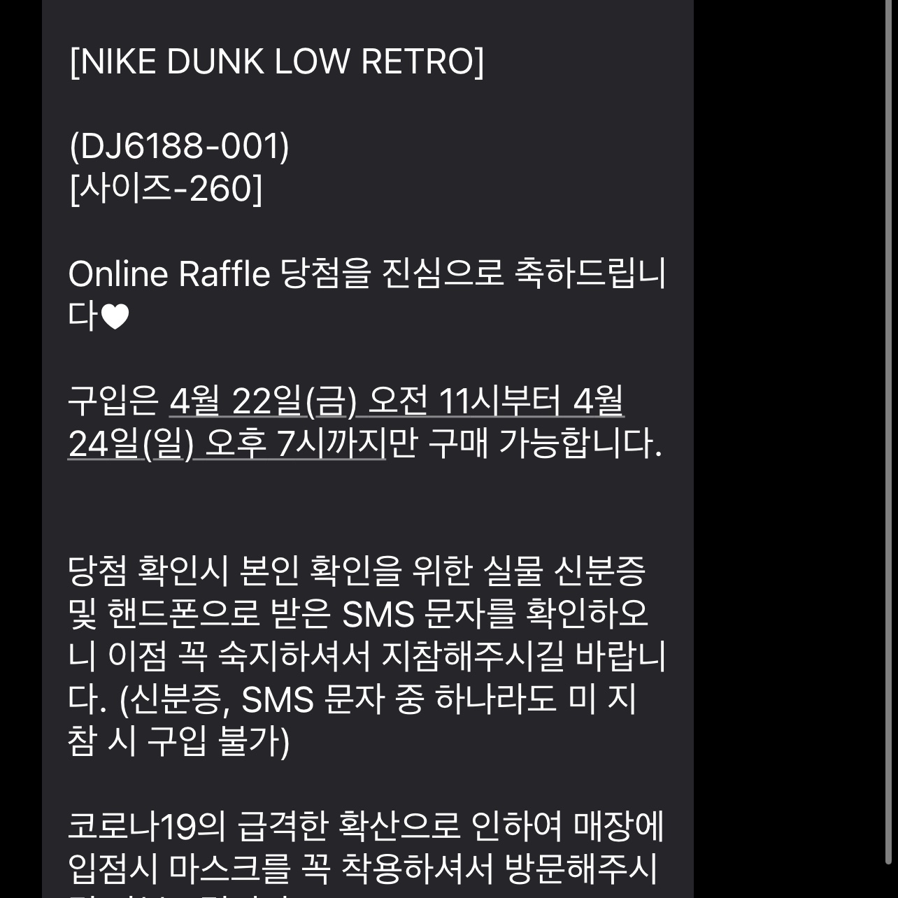 Nike Dunk Low Retro Wolf Grey 착용 스타일 - 2