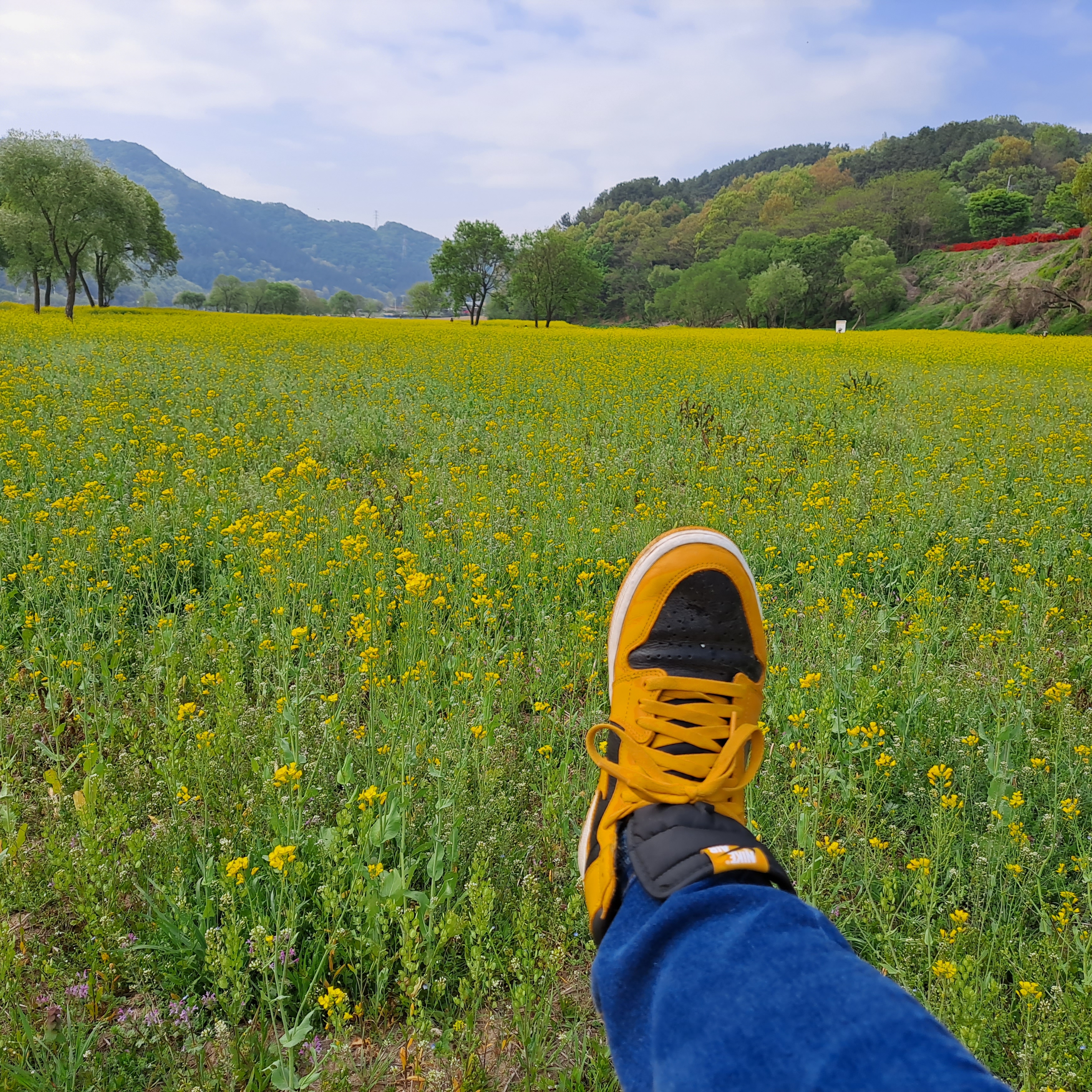 Jordan 1 Retro High OG Pollen 착용 스타일