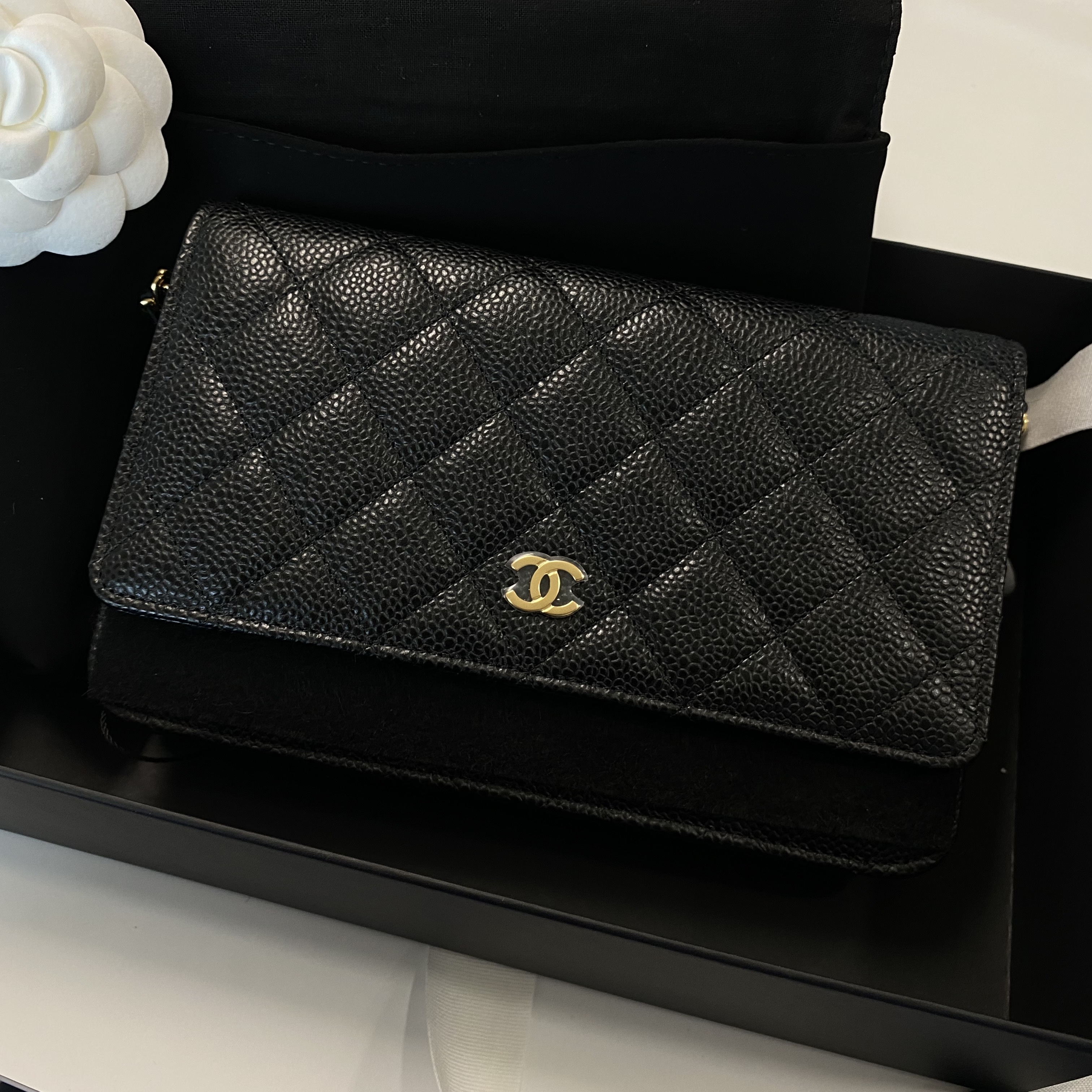 Chanel Classic Wallet On Chain Grained Calfskin & Gold Black 착용 스타일 - 1
