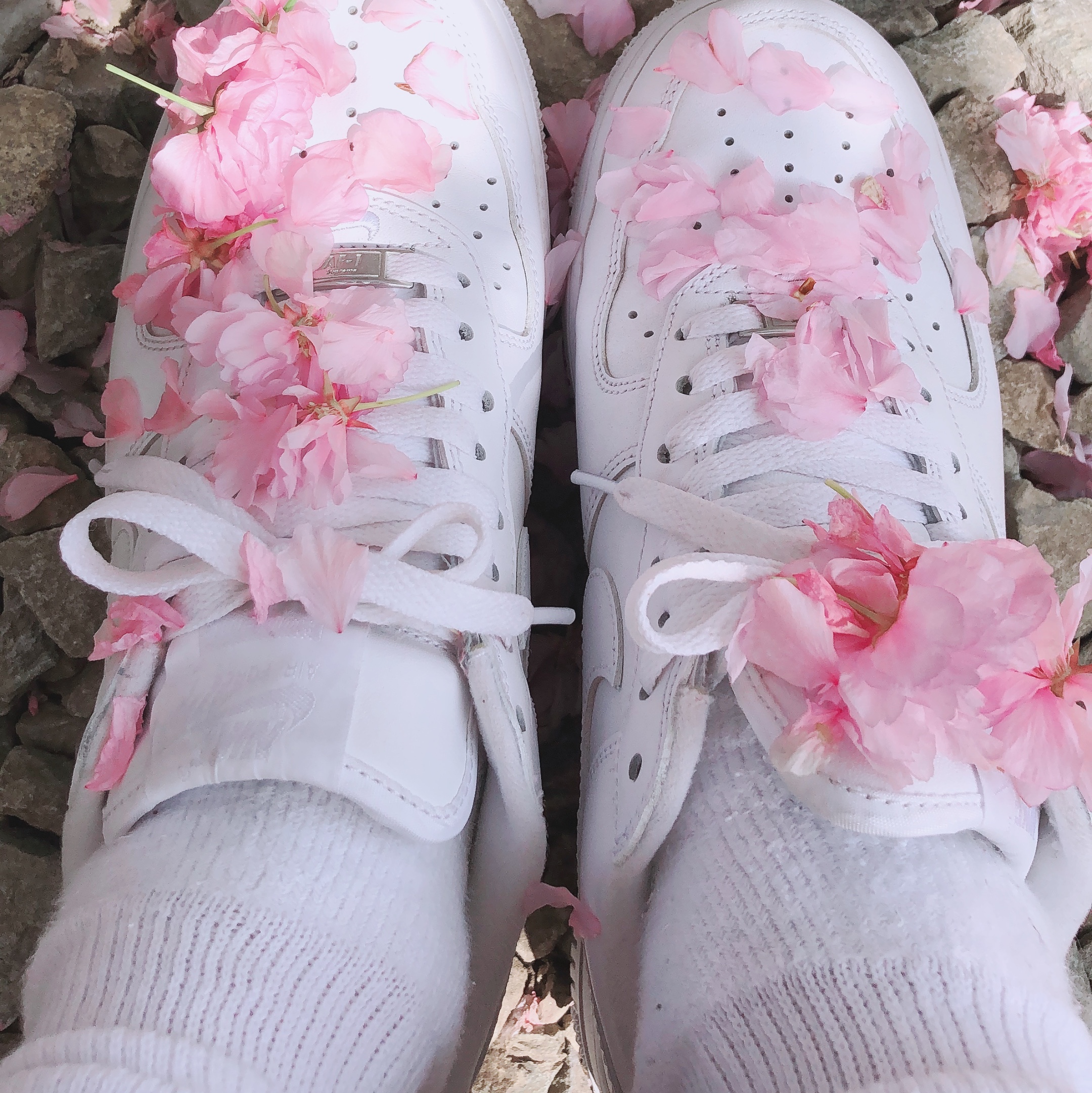 Nike x Supreme Air Force 1 Low White, Supreme Hanes Crew Socks White (4 Pack) 착용 스타일 - 2