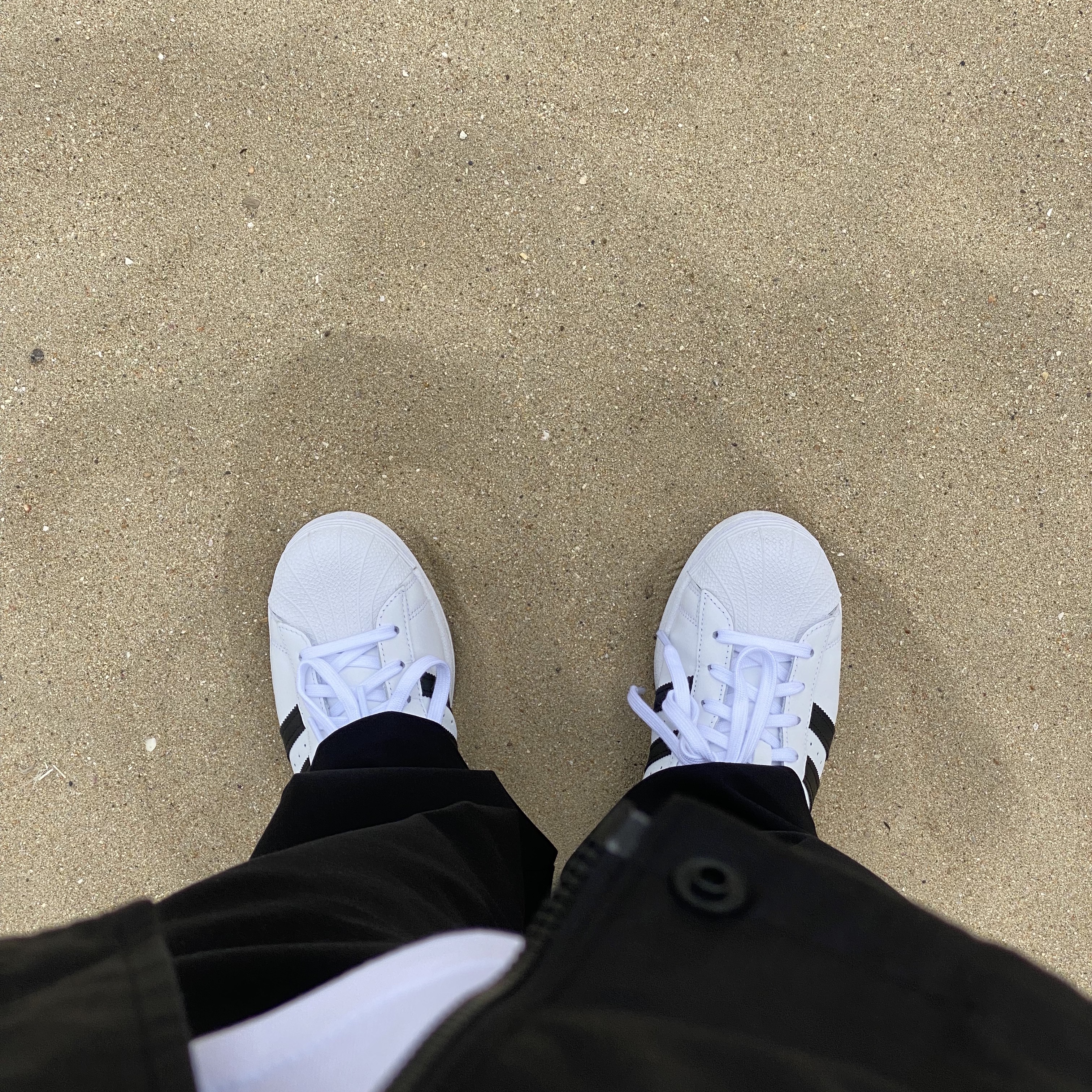 Adidas Superstar White Black 착용 스타일