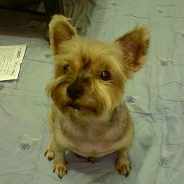 KREAM 프로필 이미지