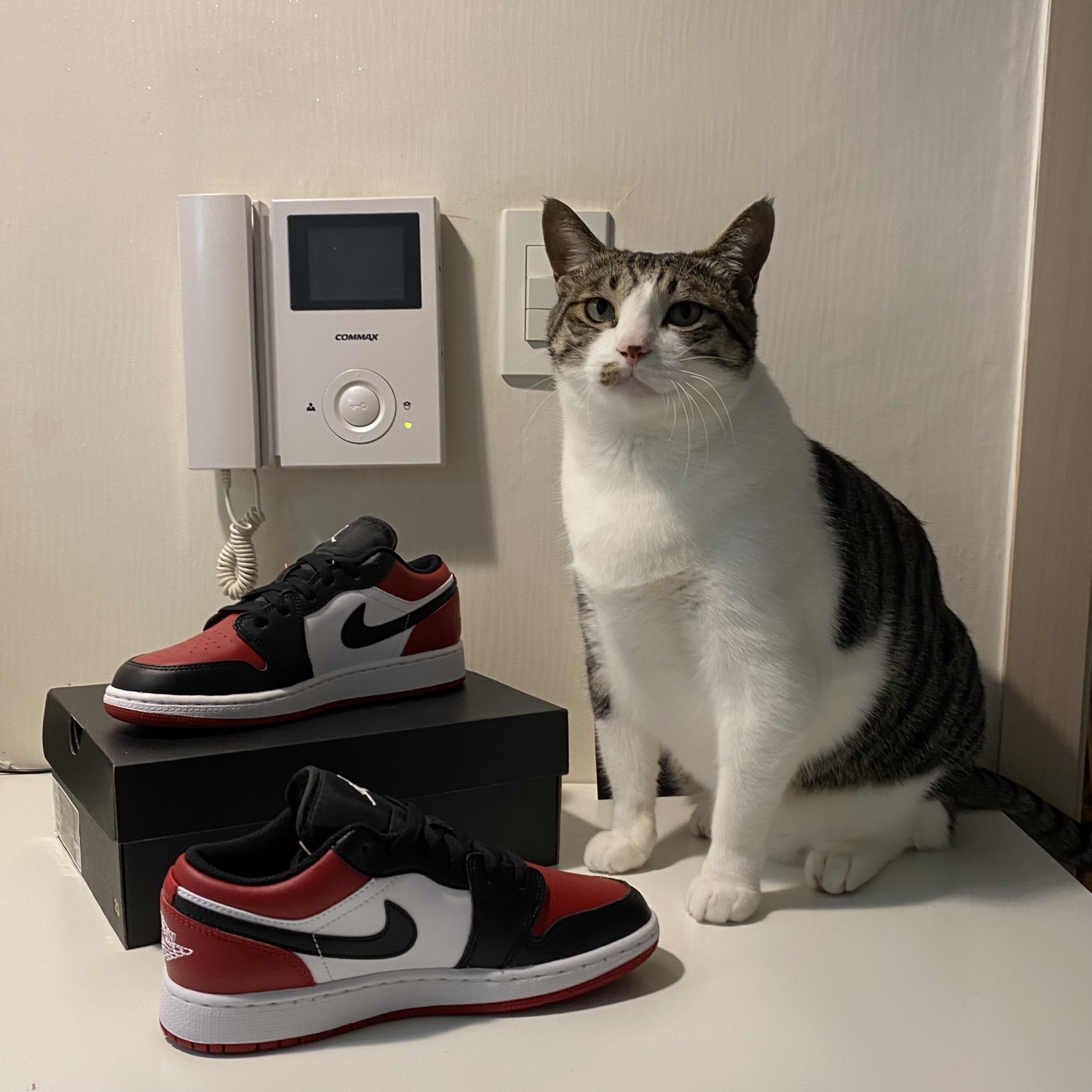(GS) Jordan 1 Low Bred Toe 착용 스타일 - 2