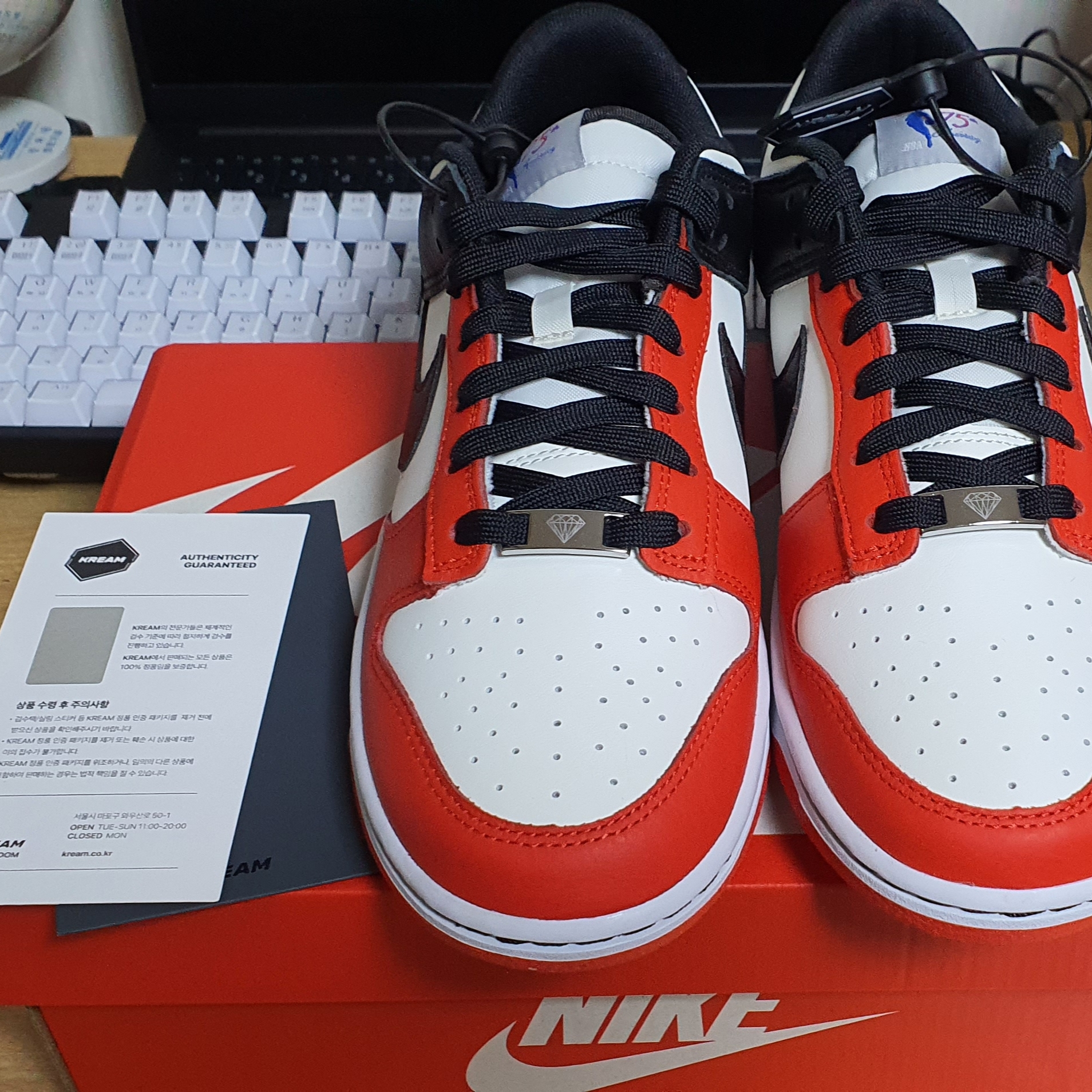 Nike x NBA Dunk Low Retro EMB Black and Chile Red 착용 스타일 - 2