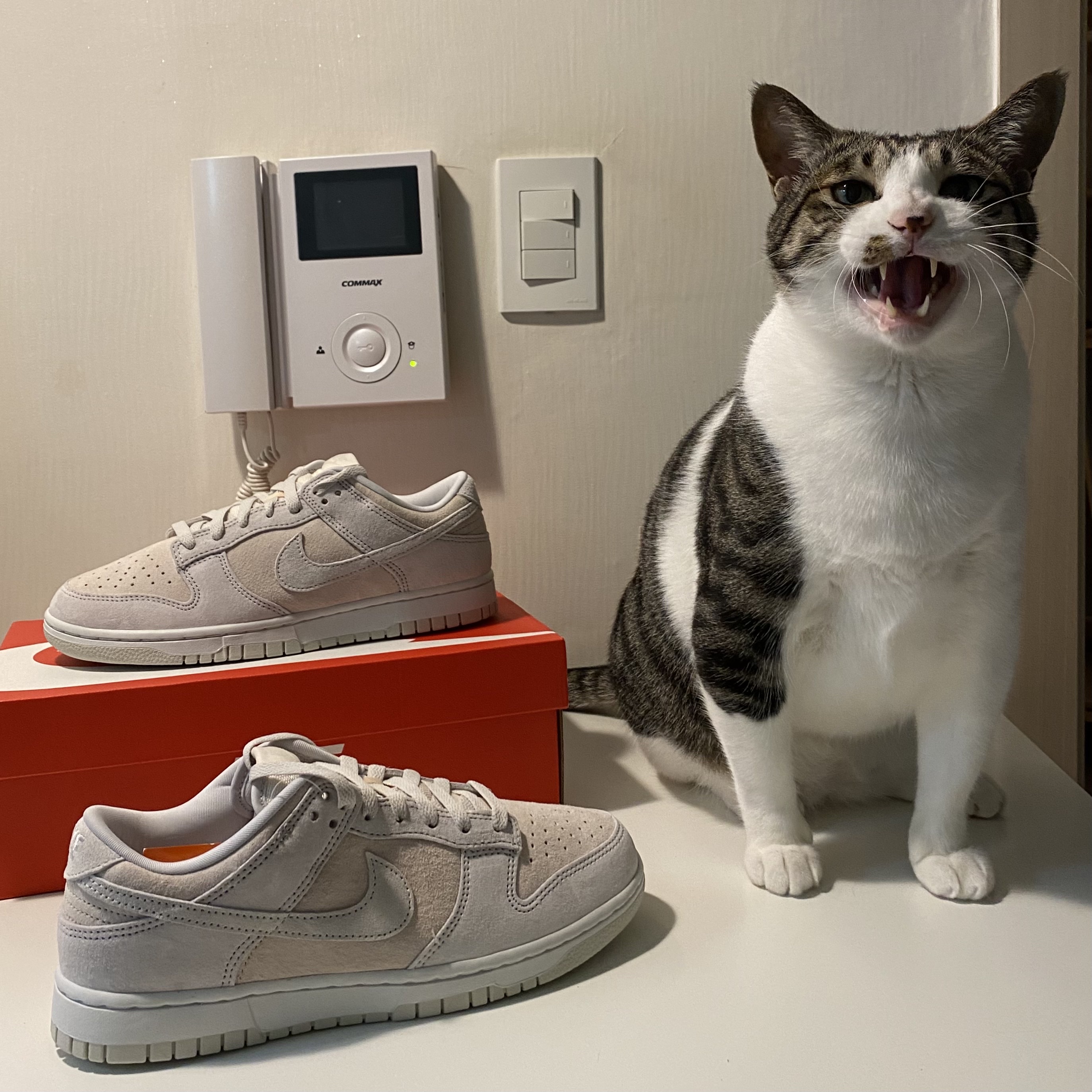 Nike Dunk Low Retro PRM Vast Grey 착용 스타일 - 1