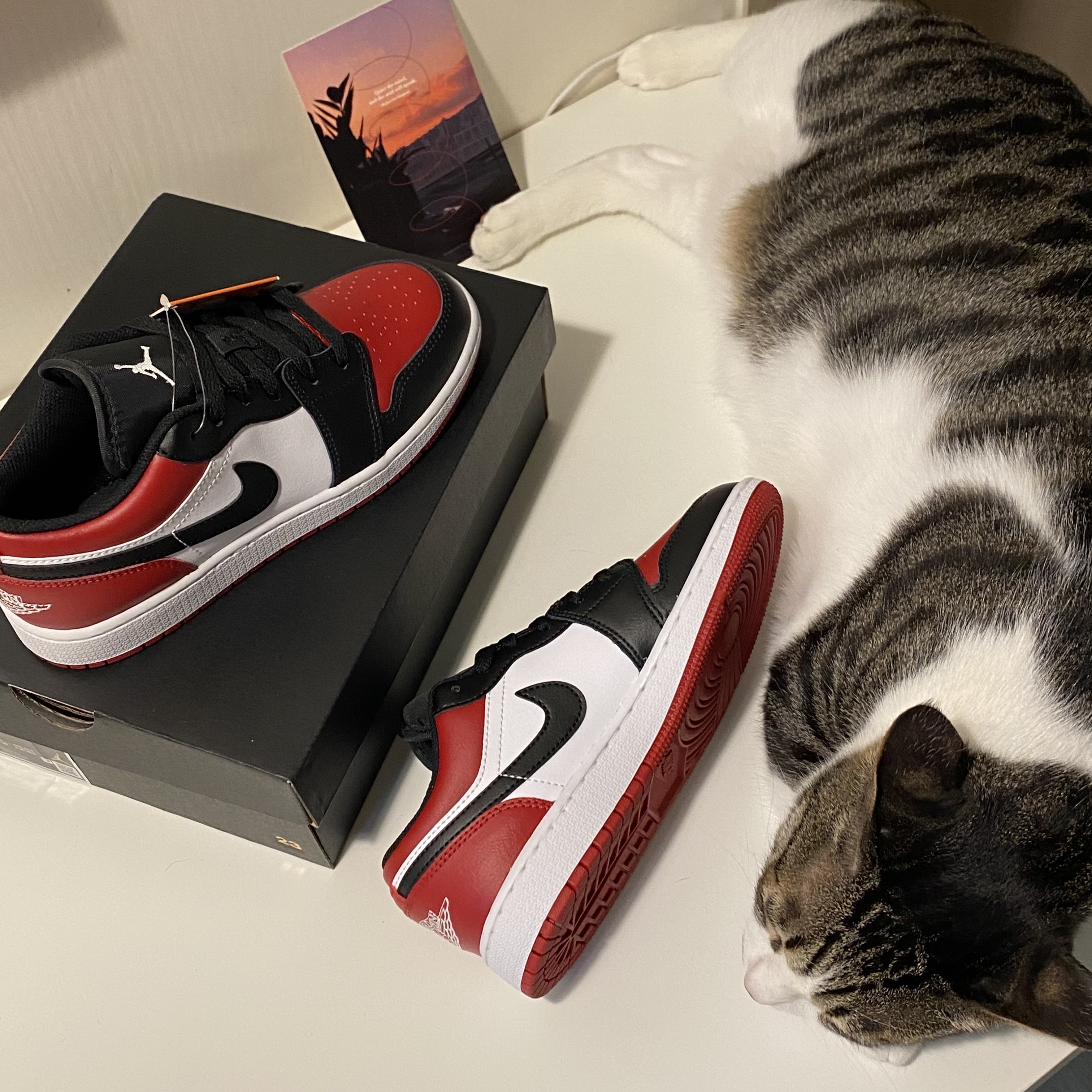 (GS) Jordan 1 Low Bred Toe 착용 스타일 - 3