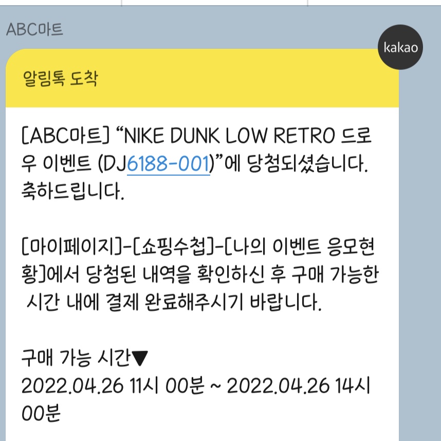 Nike Dunk Low Retro Wolf Grey 착용 스타일