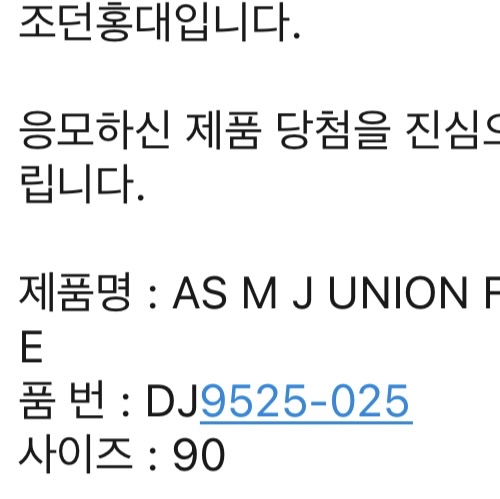 Jordan x Union Fleece Hoodie Photon Dust - Asia 착용 스타일