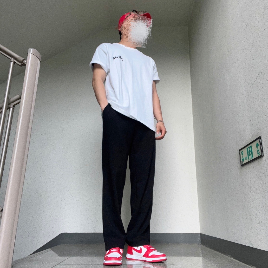 Stussy Fuzzy Dice T-Shirt White, Nike Dunk High Retro Championship White and Red 착용 스타일