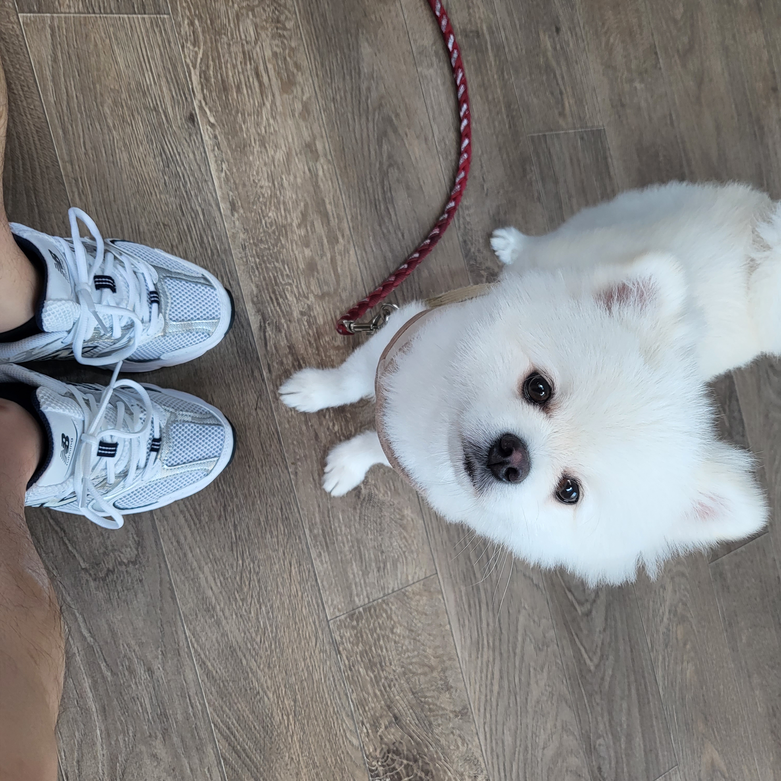 New Balance 530 White 착용 스타일 - 1