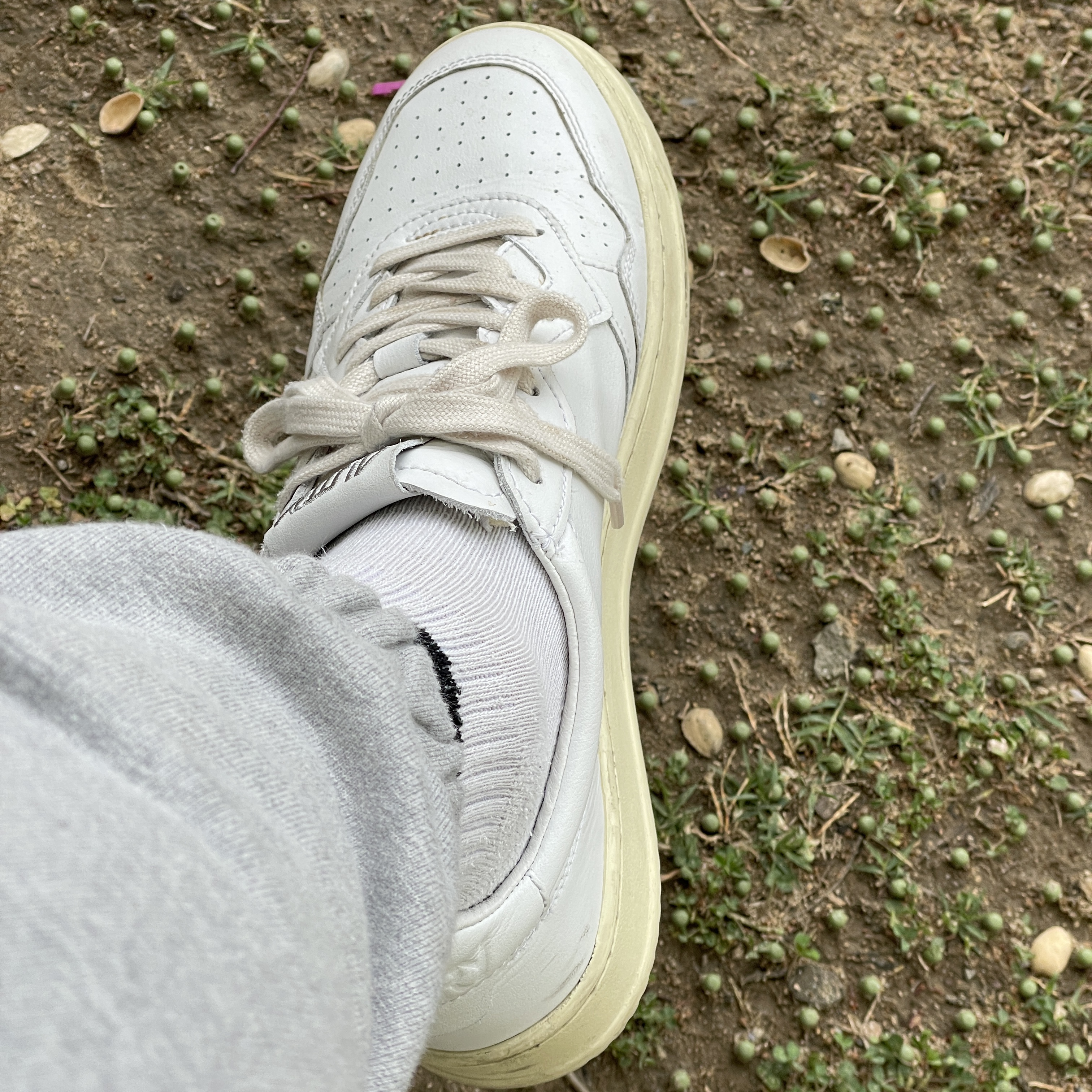 Autry Medalist Low Leather Sneakers White 착용 스타일