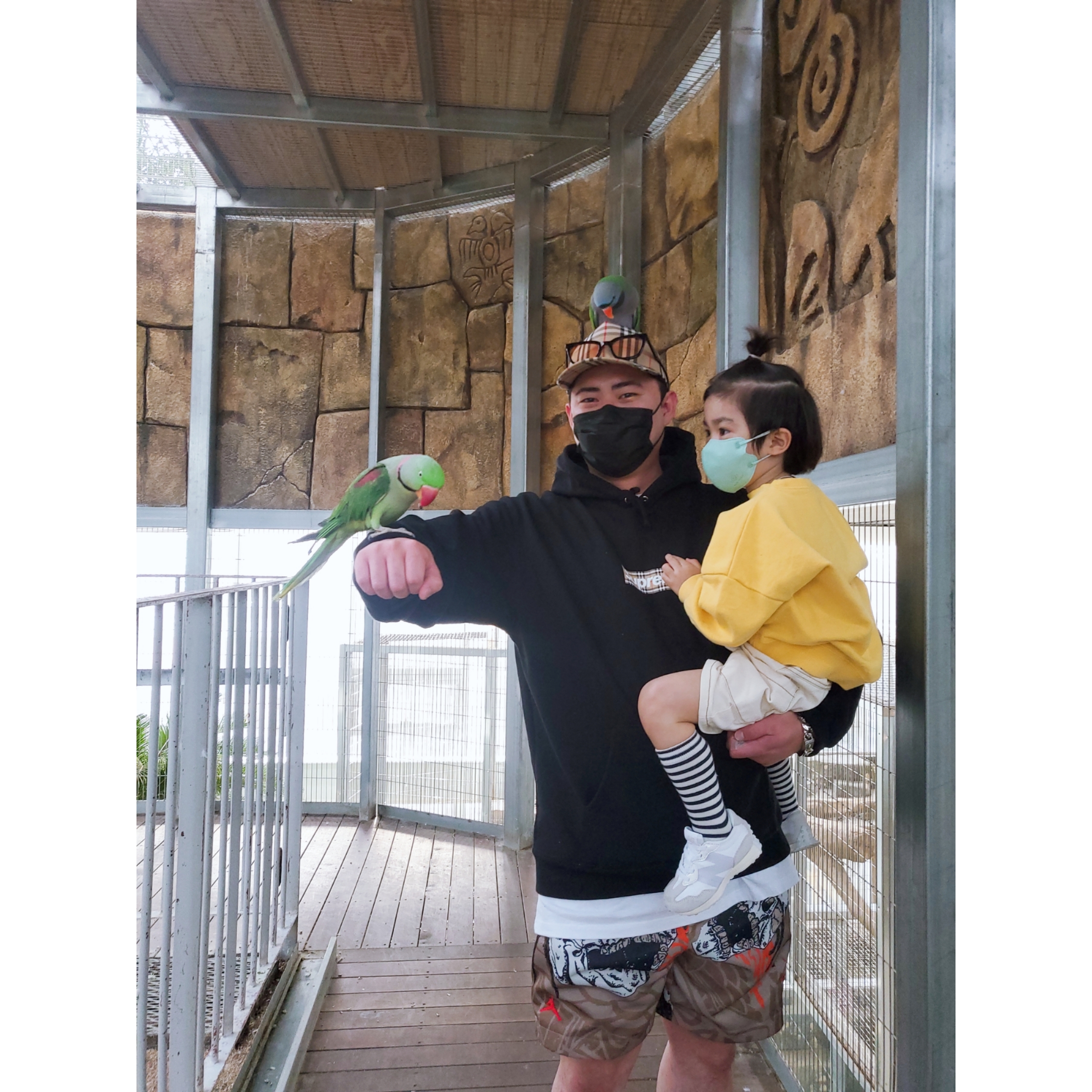 Supreme x Burberry Box Logo Hooded Sweatshirt Black - 22SS, Jordan x Travis Scott Pool Shorts - Asia 착용 스타일