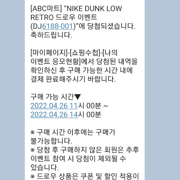 Nike Dunk Low Retro Wolf Grey 착용 스타일
