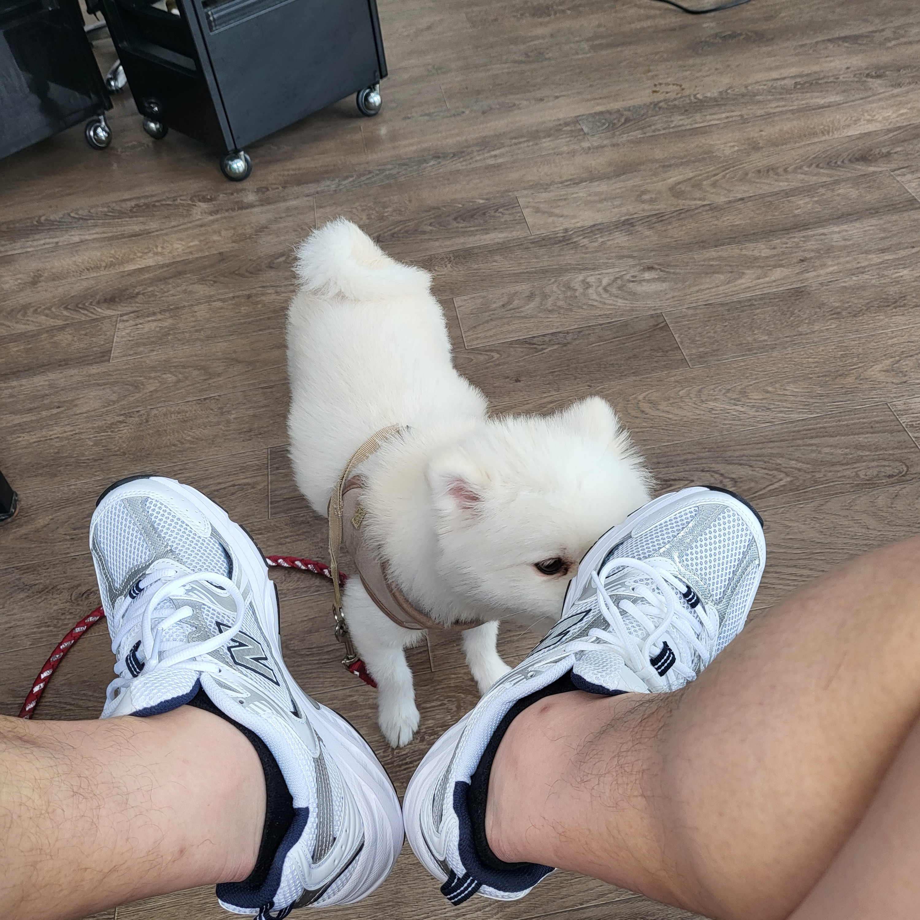 New Balance 530 White 착용 스타일 - 2