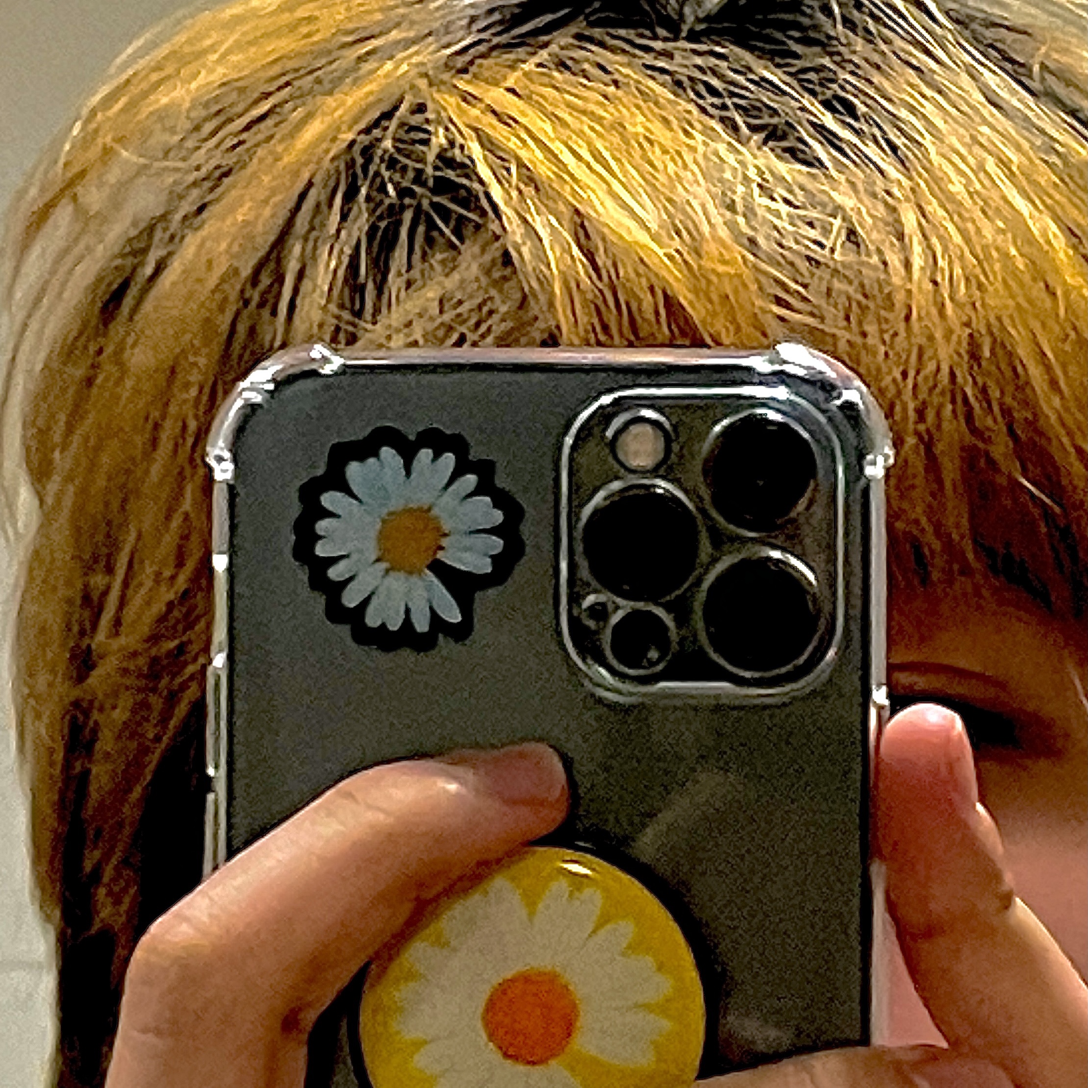 Peaceminusone Daisy Sticker Tape #1 (Set of 3), Peaceminusone Phone Pop Up Grip #1 Black 착용 스타일 - 1