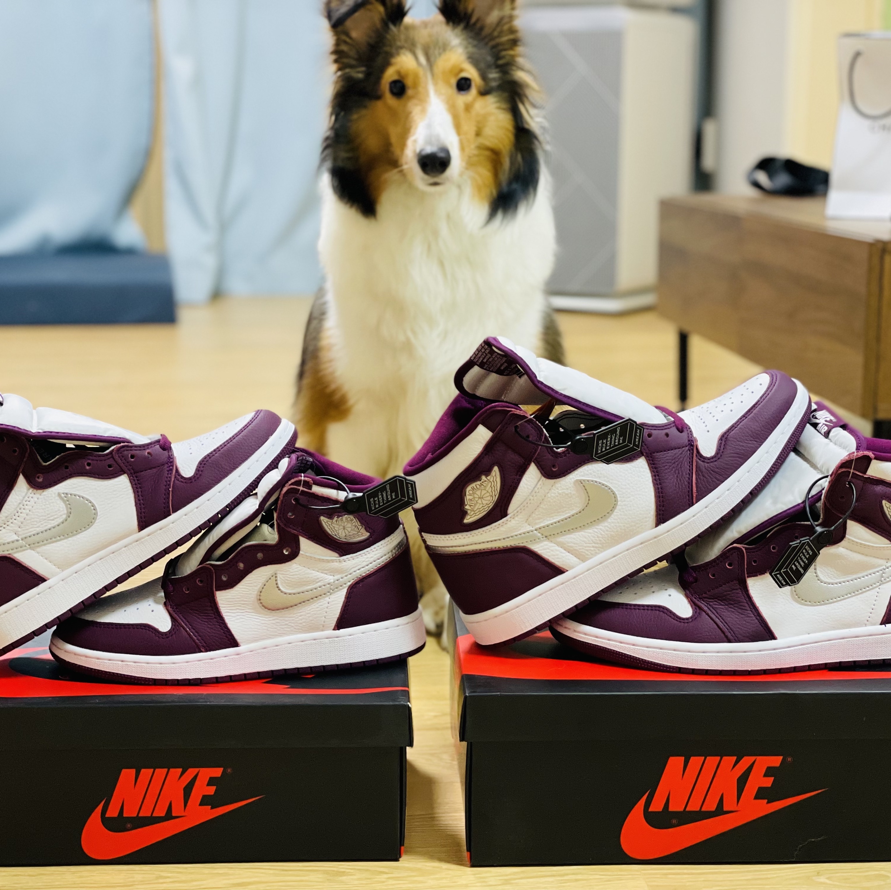 Jordan 1 Retro High OG Bordeaux, (GS) Jordan 1 Retro High OG Bordeaux 착용 스타일 - 1