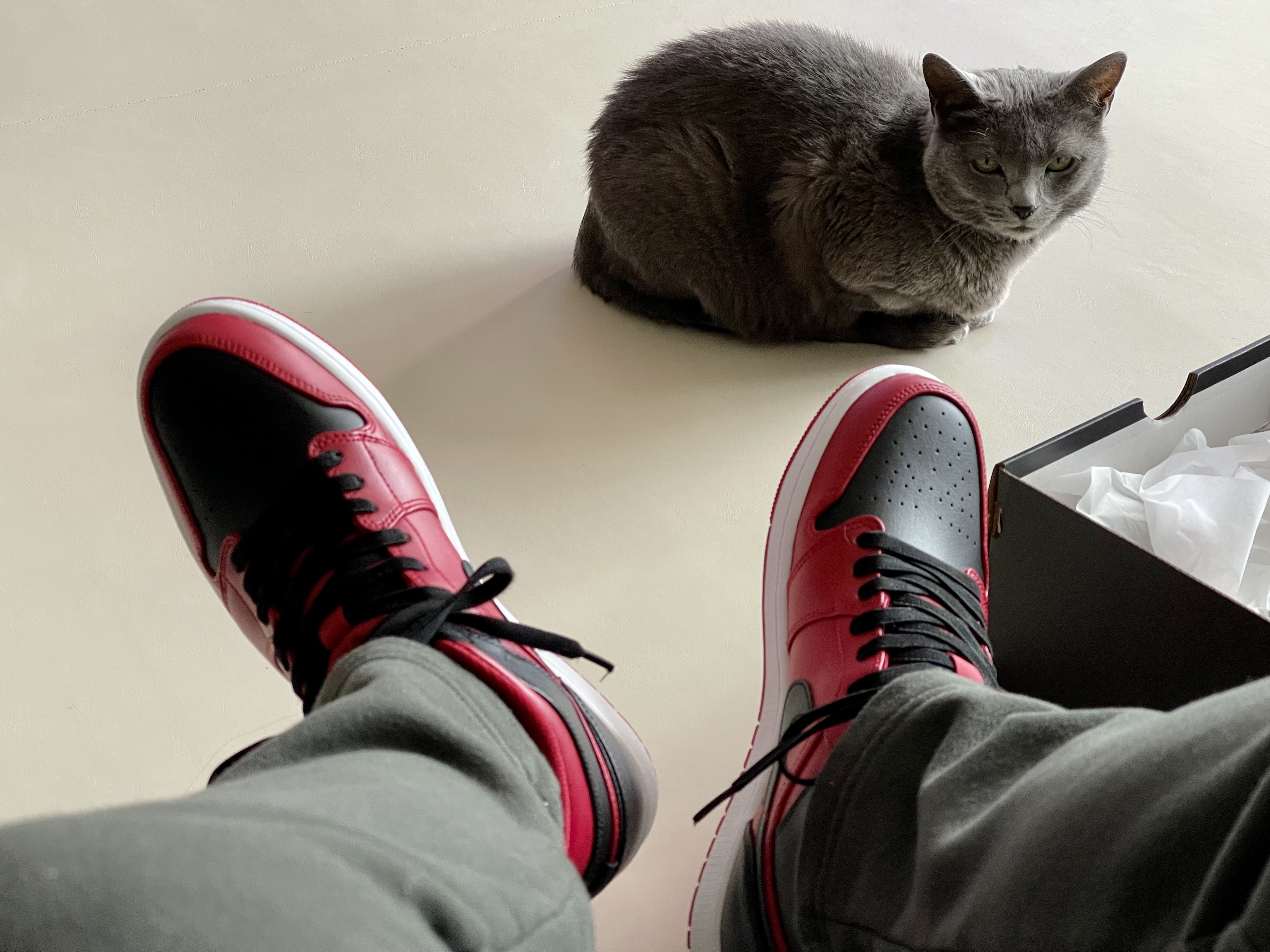Jordan 1 Mid Reverse Bred 착용 스타일 - 2