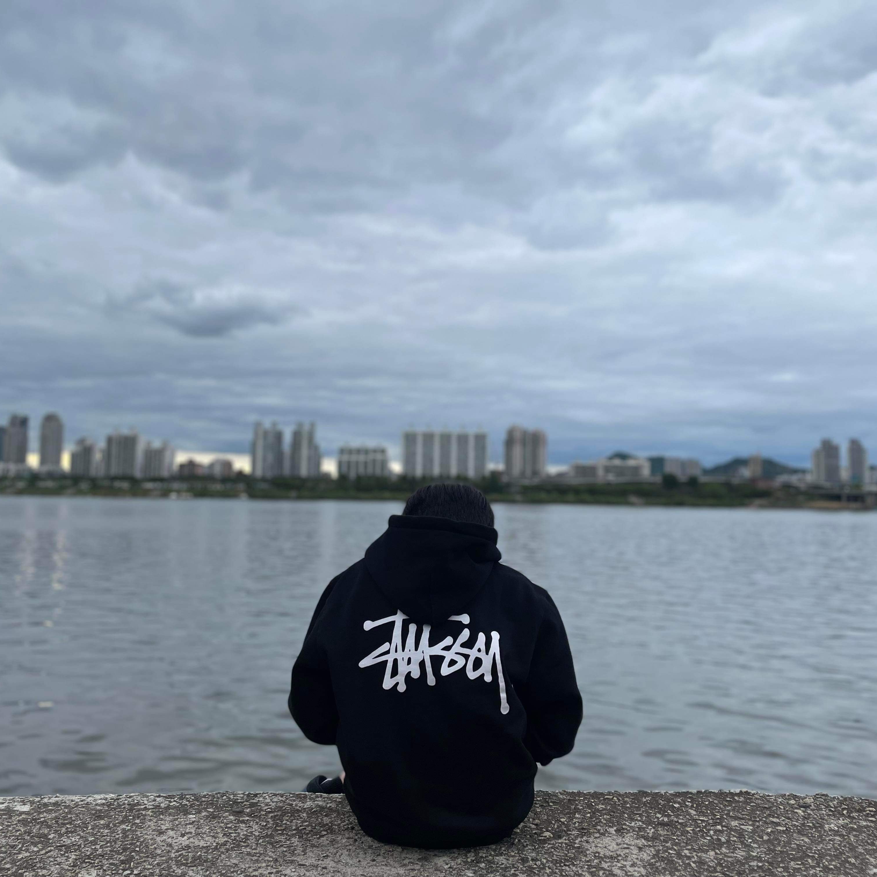 Stussy Basic Stussy Zip Hoodie Black 2021 착용 스타일