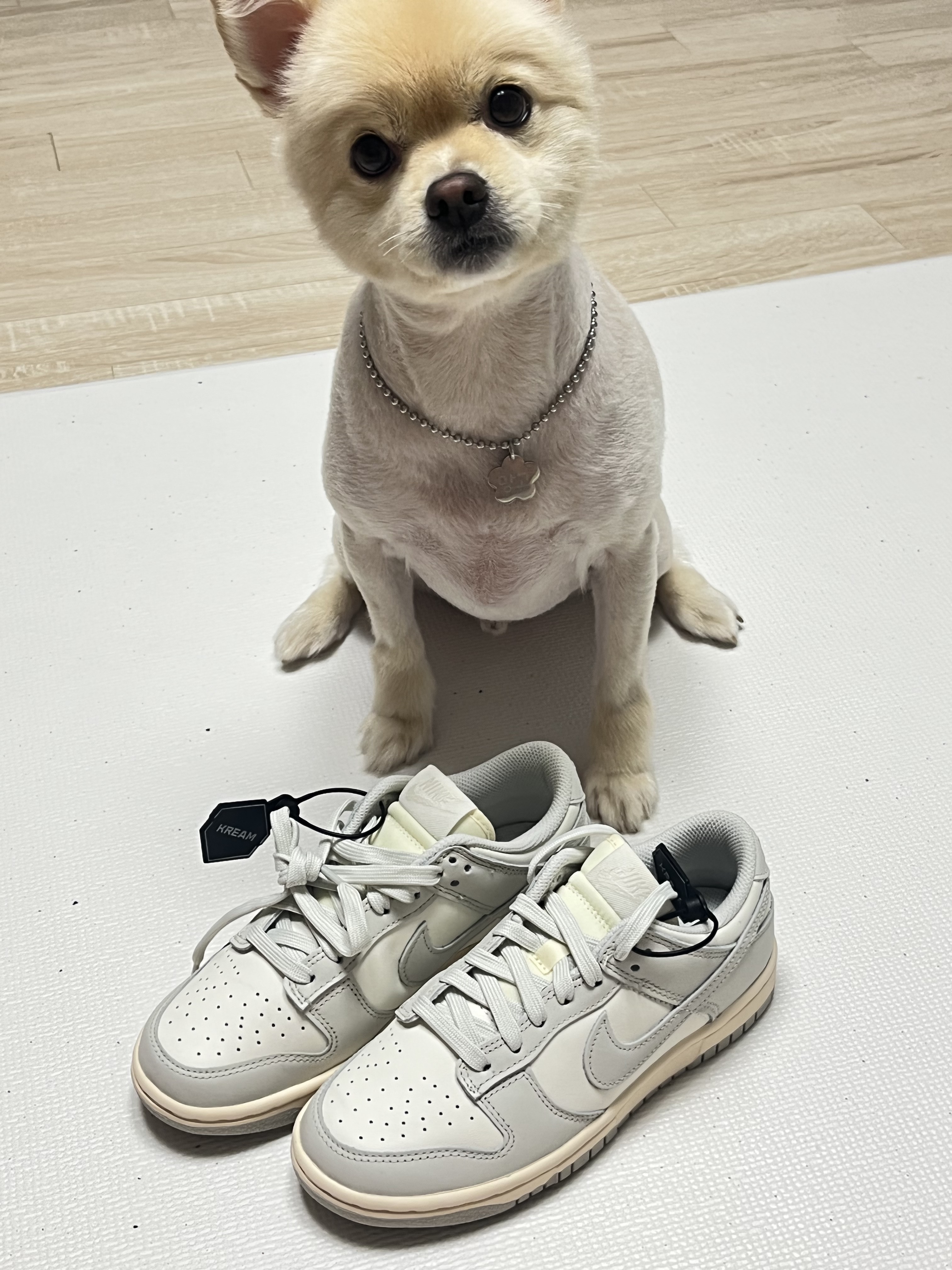 (W) Nike Dunk Low Light Bone 착용 스타일 - 1