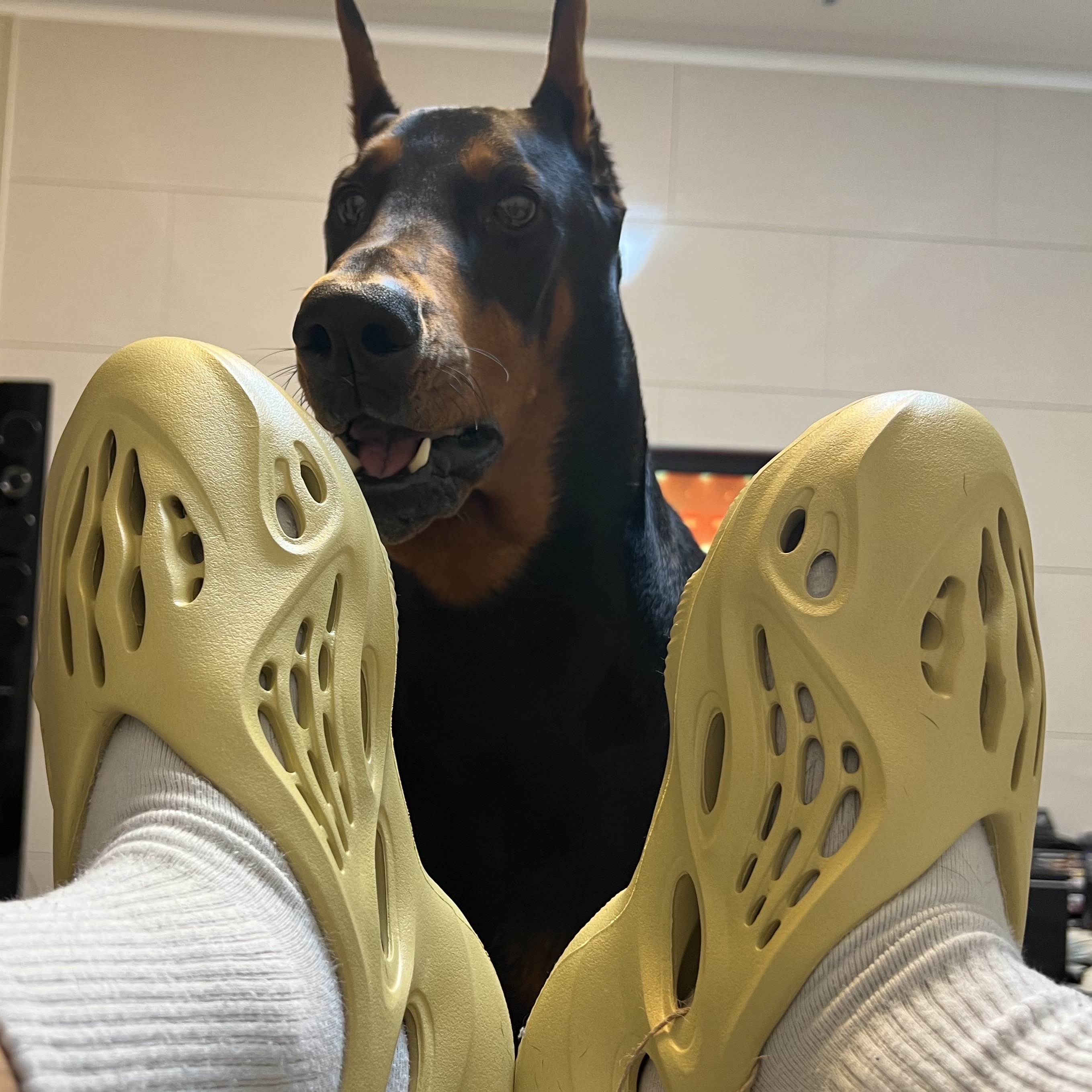 Adidas Yeezy Foam RNNR Sulfur 착용 스타일