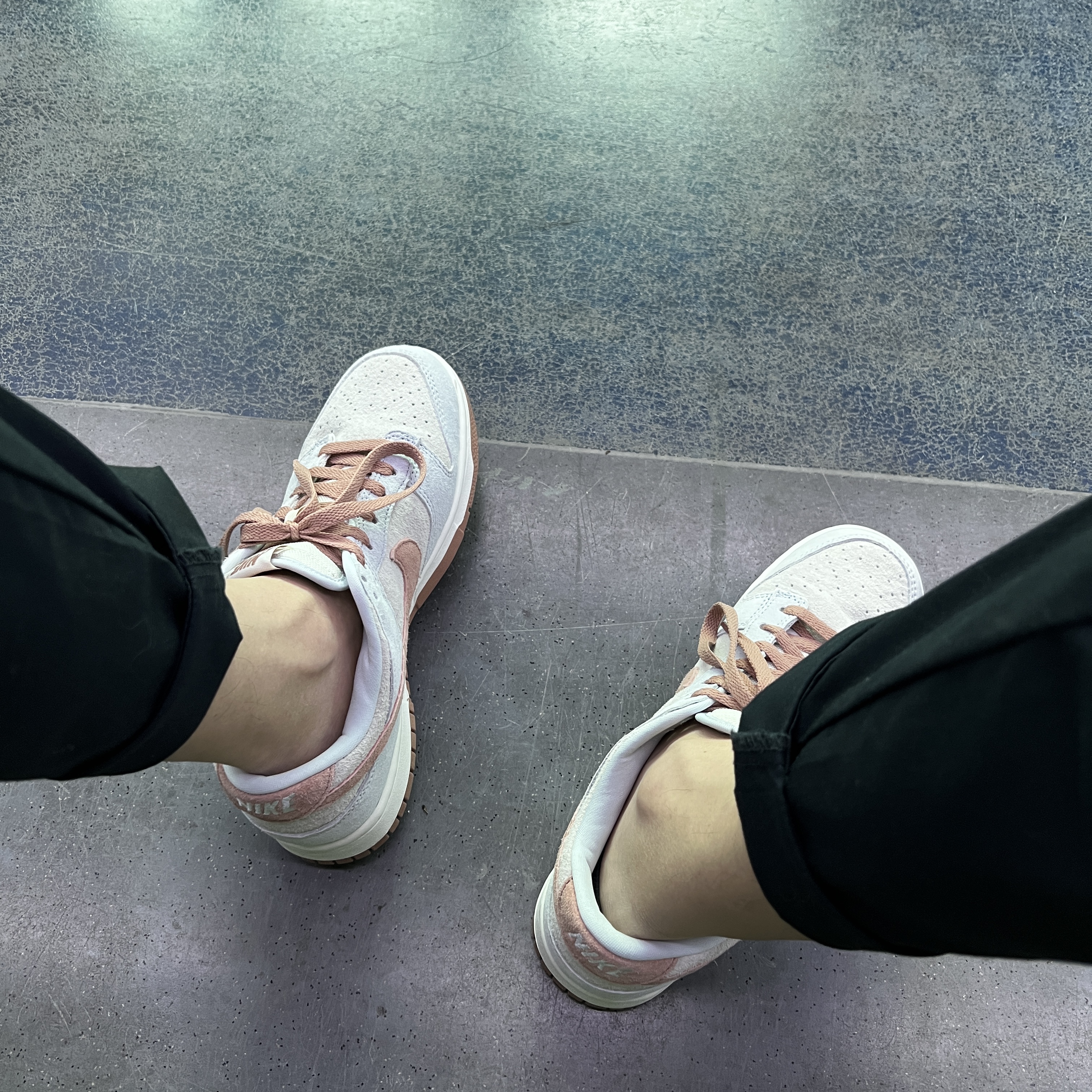 Nike Dunk Low Retro PRM Fossil Rose 착용 스타일