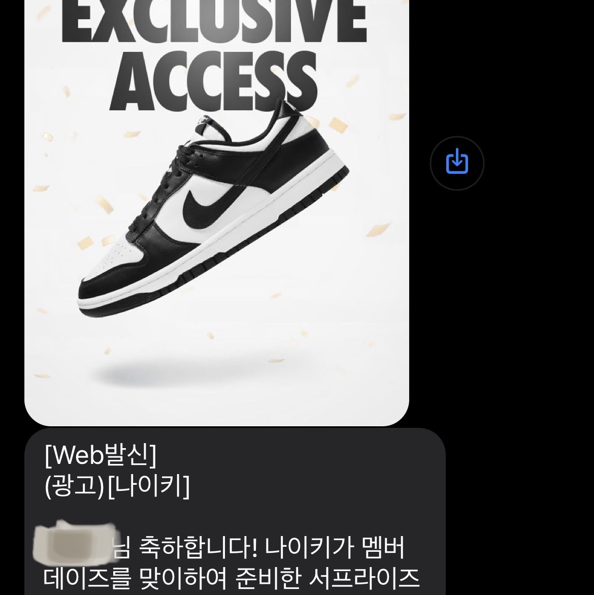 Nike Dunk Low Retro Black 착용 스타일