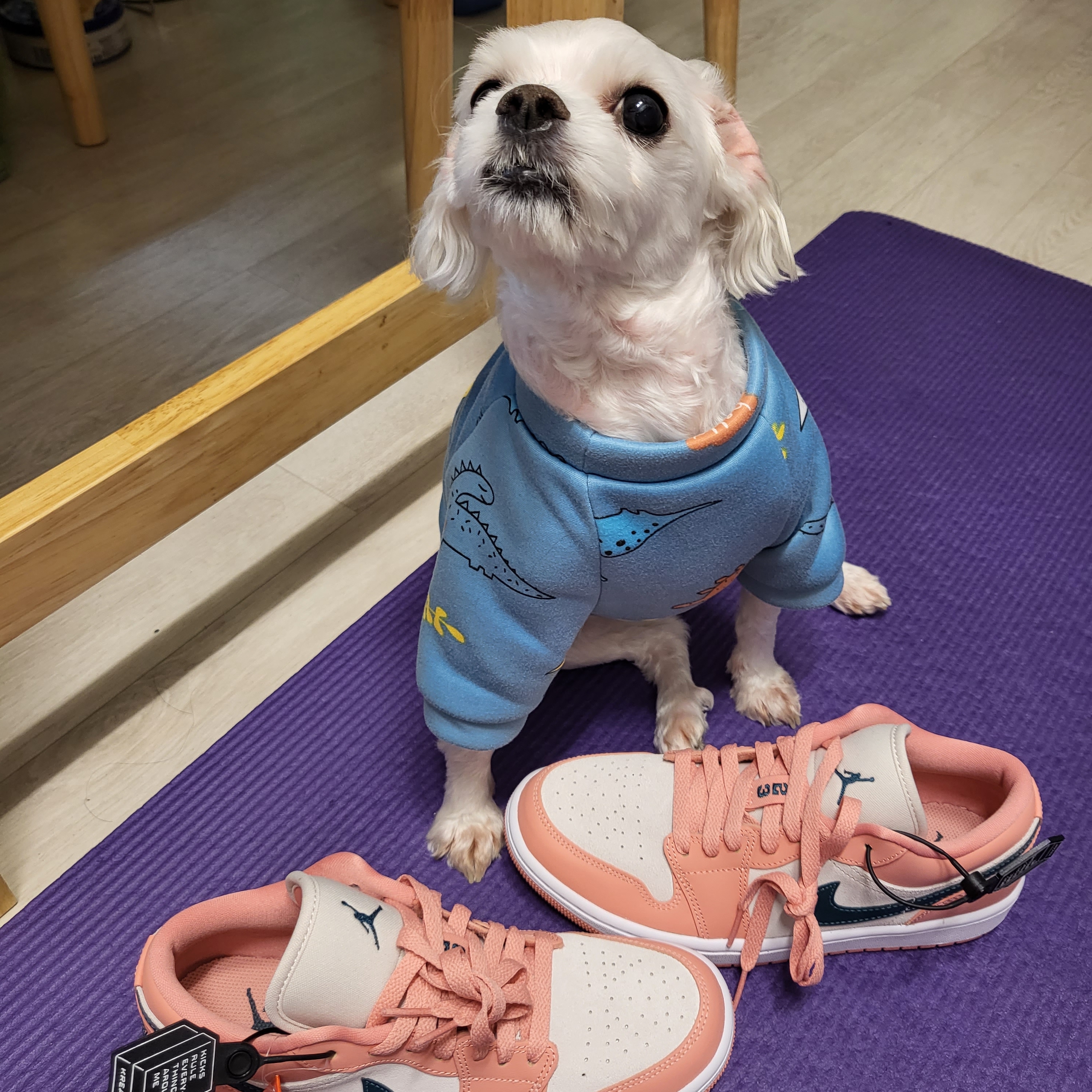 (W) Jordan 1 Low Light Madder Root 착용 스타일