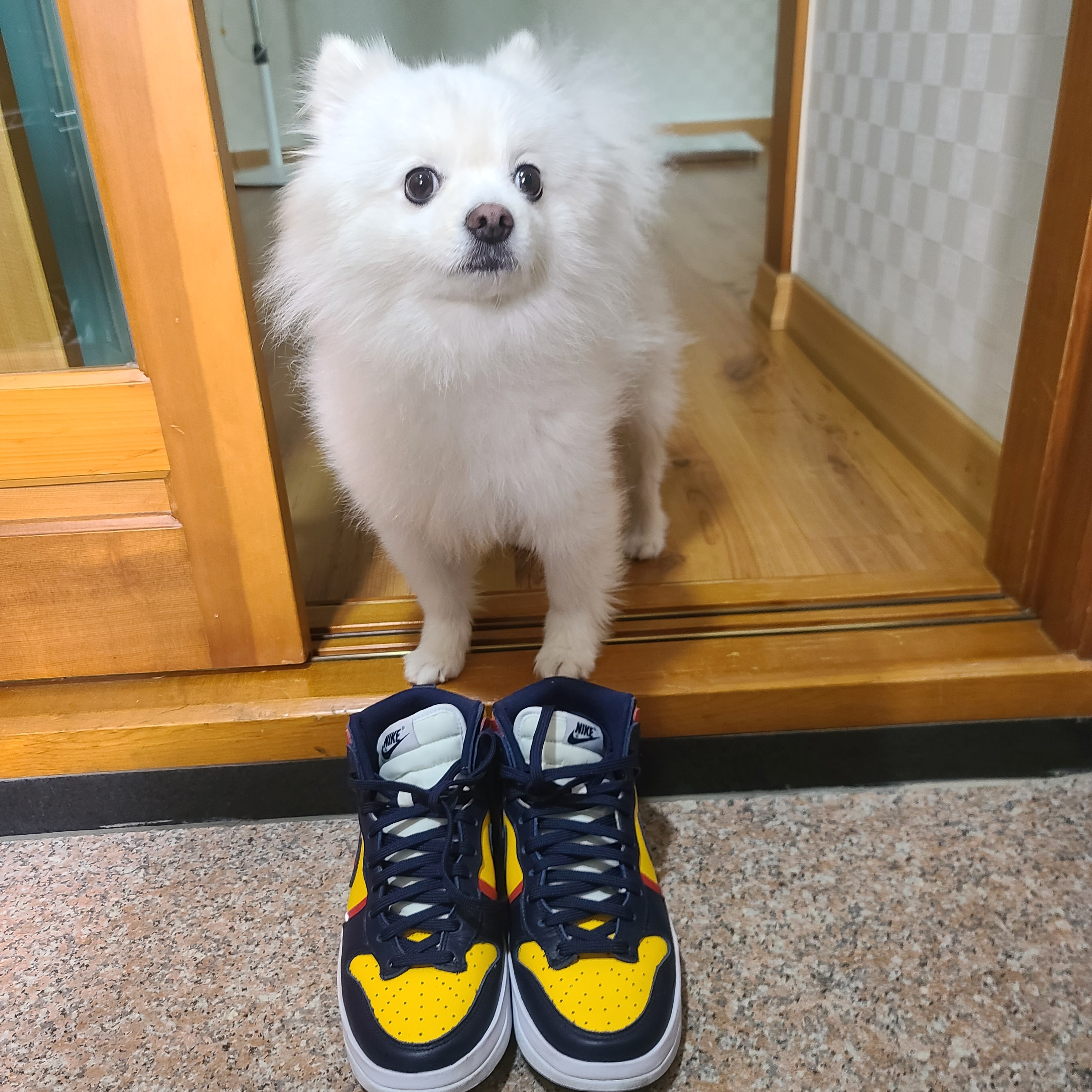 (W) Nike Dunk High Up Varsity Maize 착용 스타일 - 2