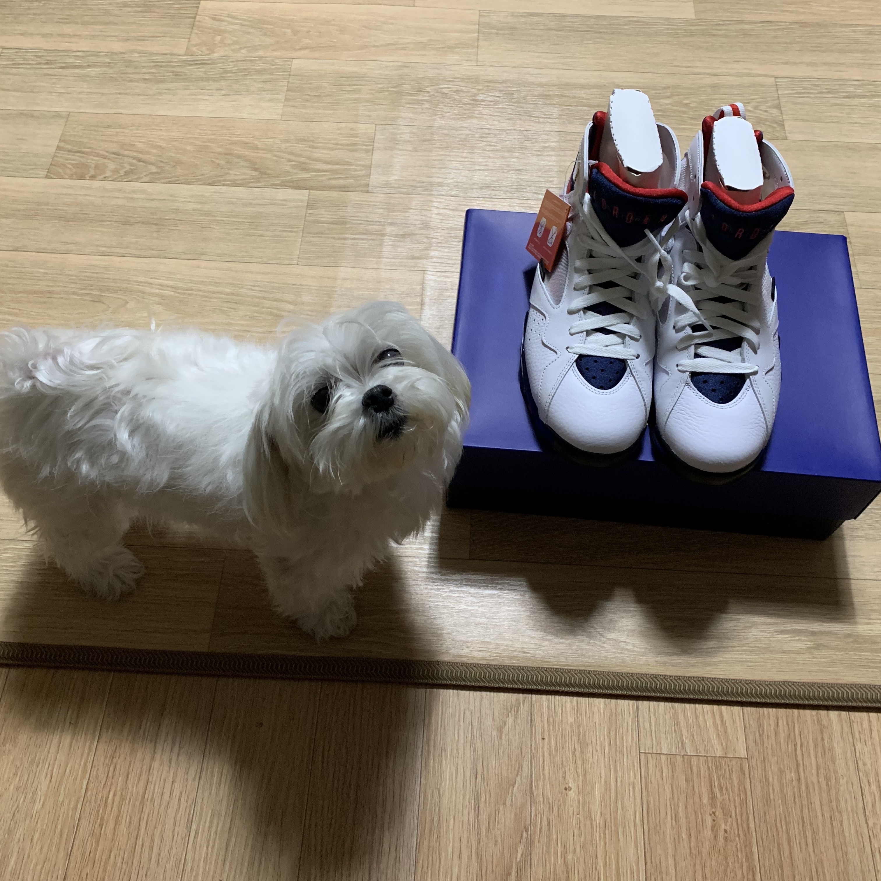 Jordan 7 x Paris Saint-Germain Retro 착용 스타일 - 2