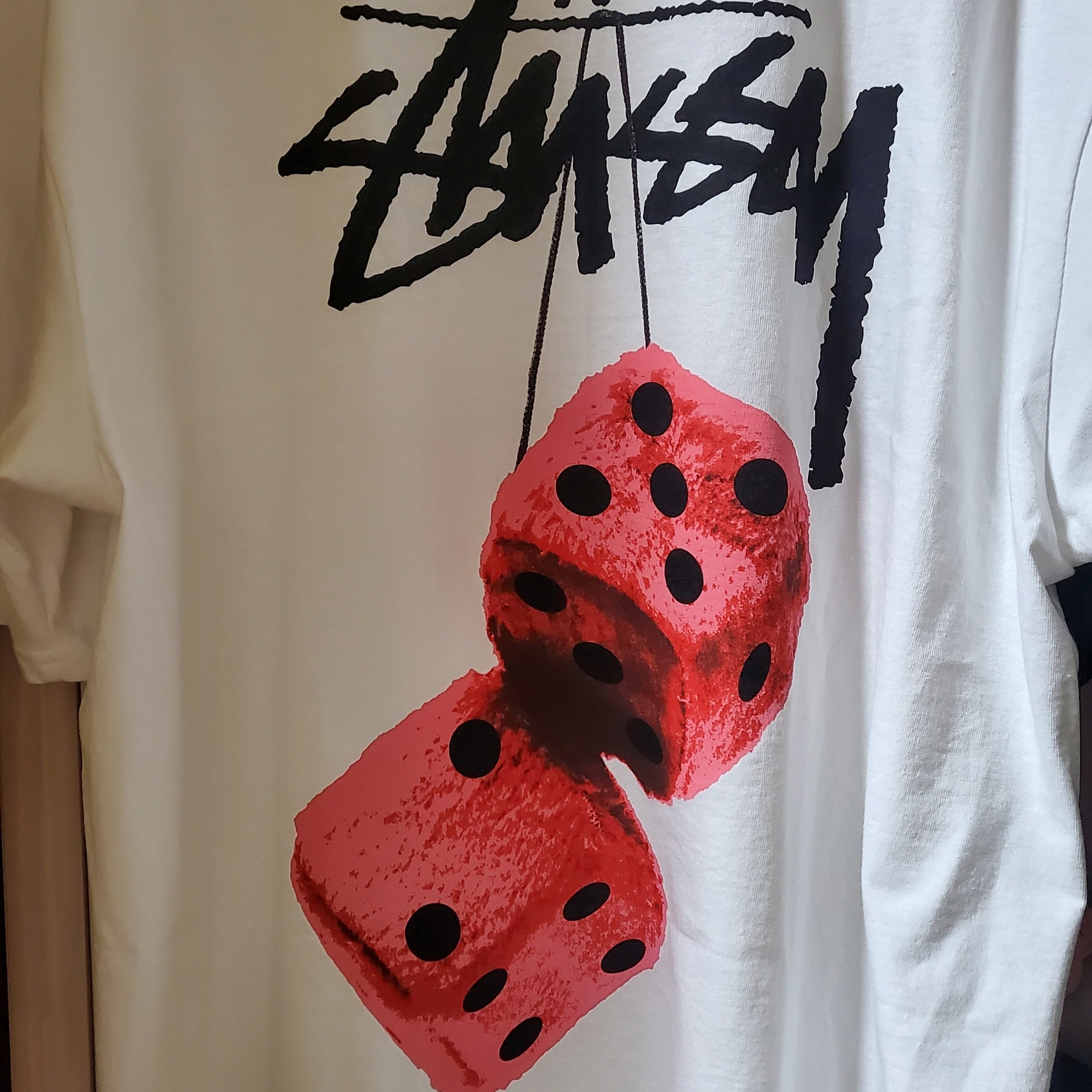 Stussy Fuzzy Dice T-Shirt White 착용 스타일