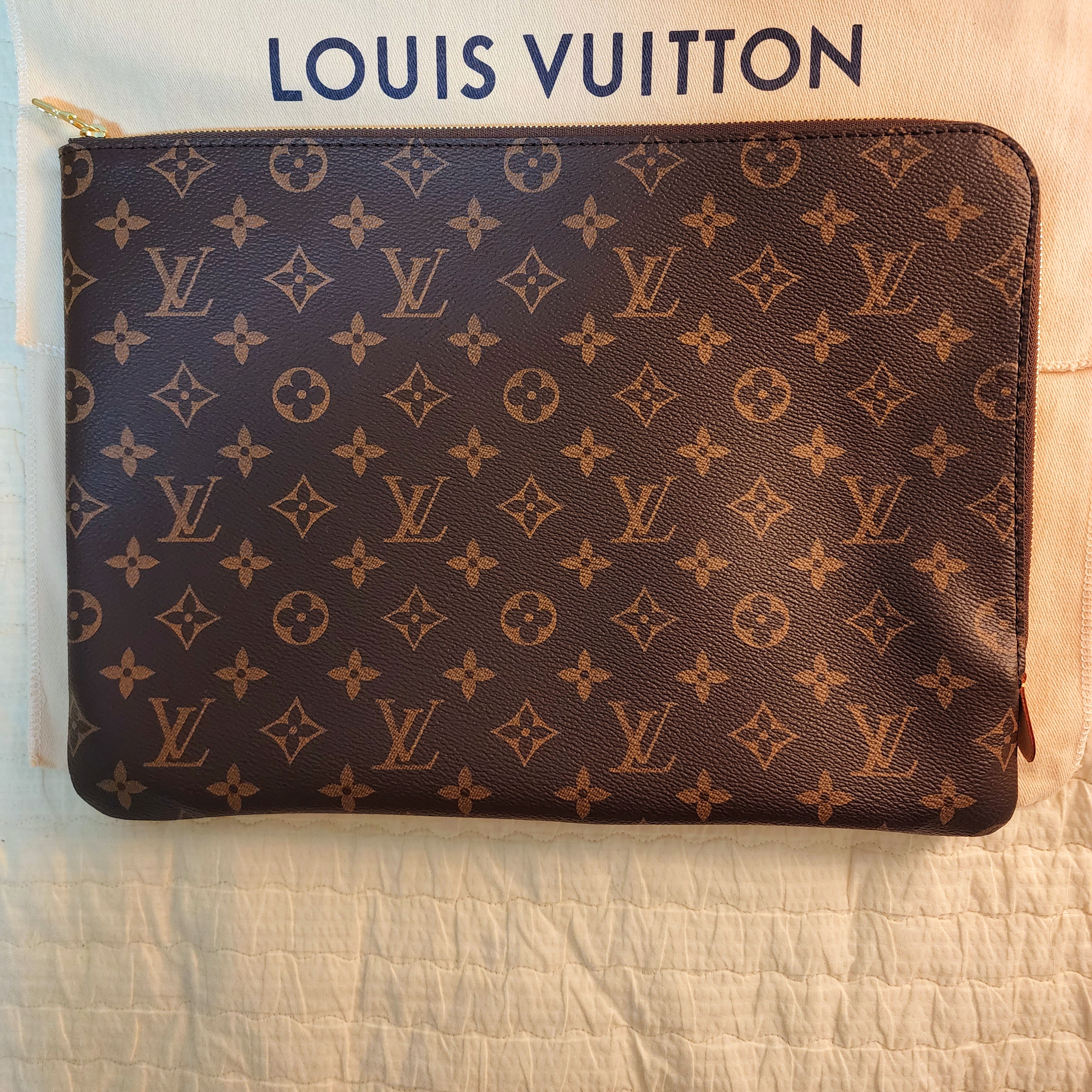 Louis Vuitton Etui Voyage GM Monogram 착용 스타일 - 5