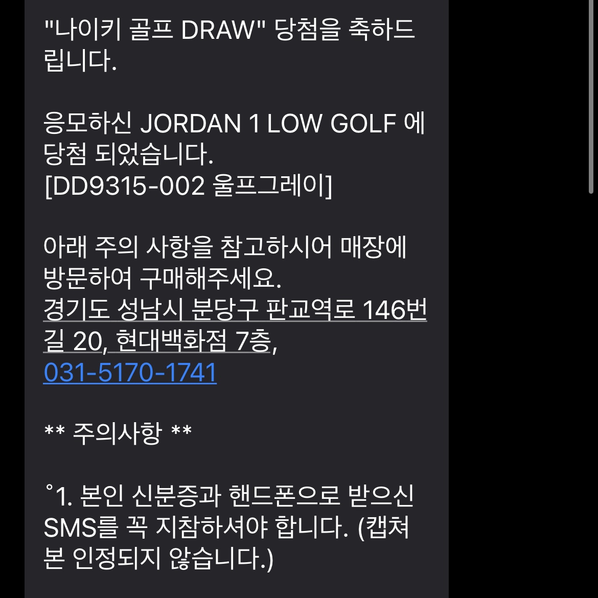 Jordan 1 Low Golf Wolf Grey 착용 스타일