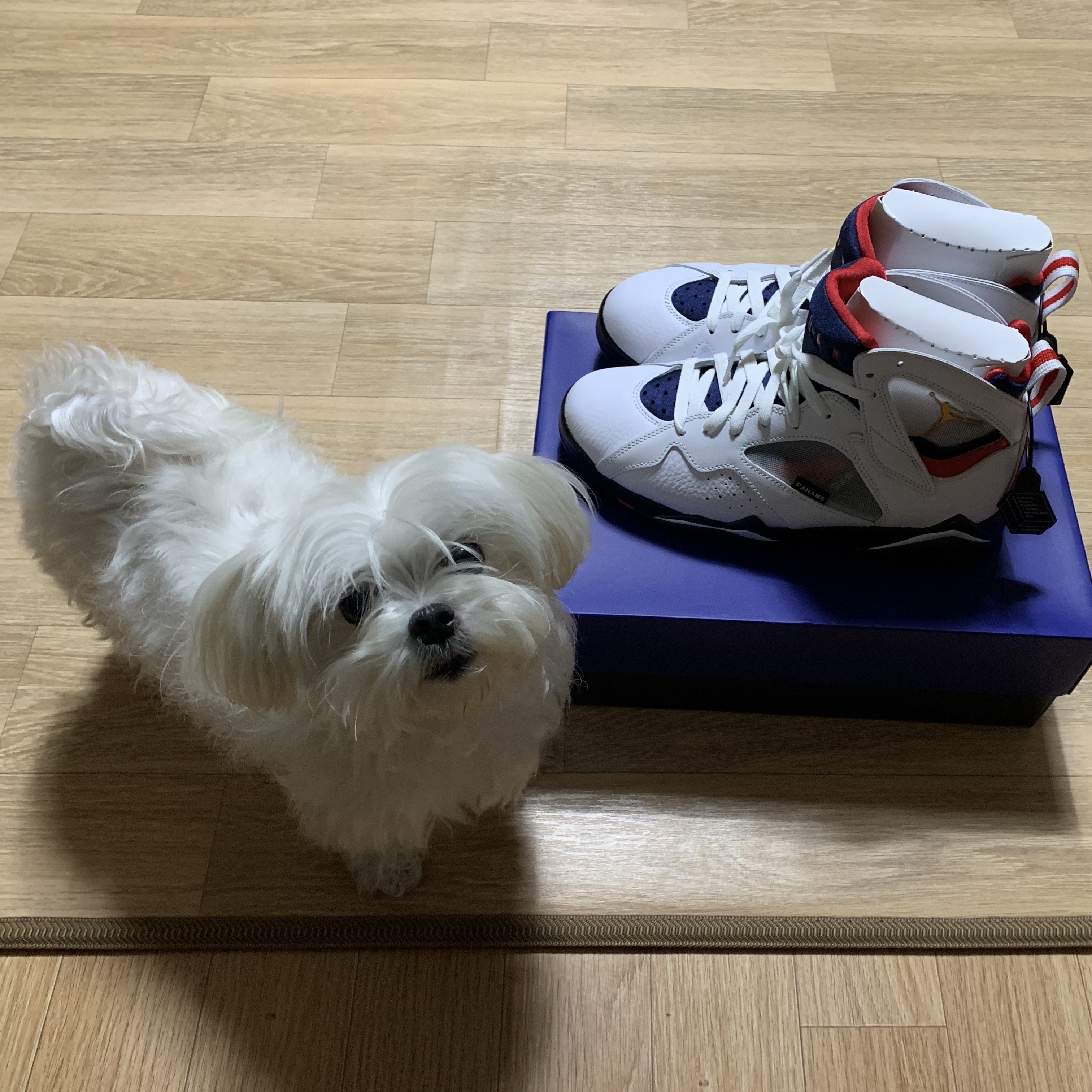 Jordan 7 x Paris Saint-Germain Retro 착용 스타일 - 1