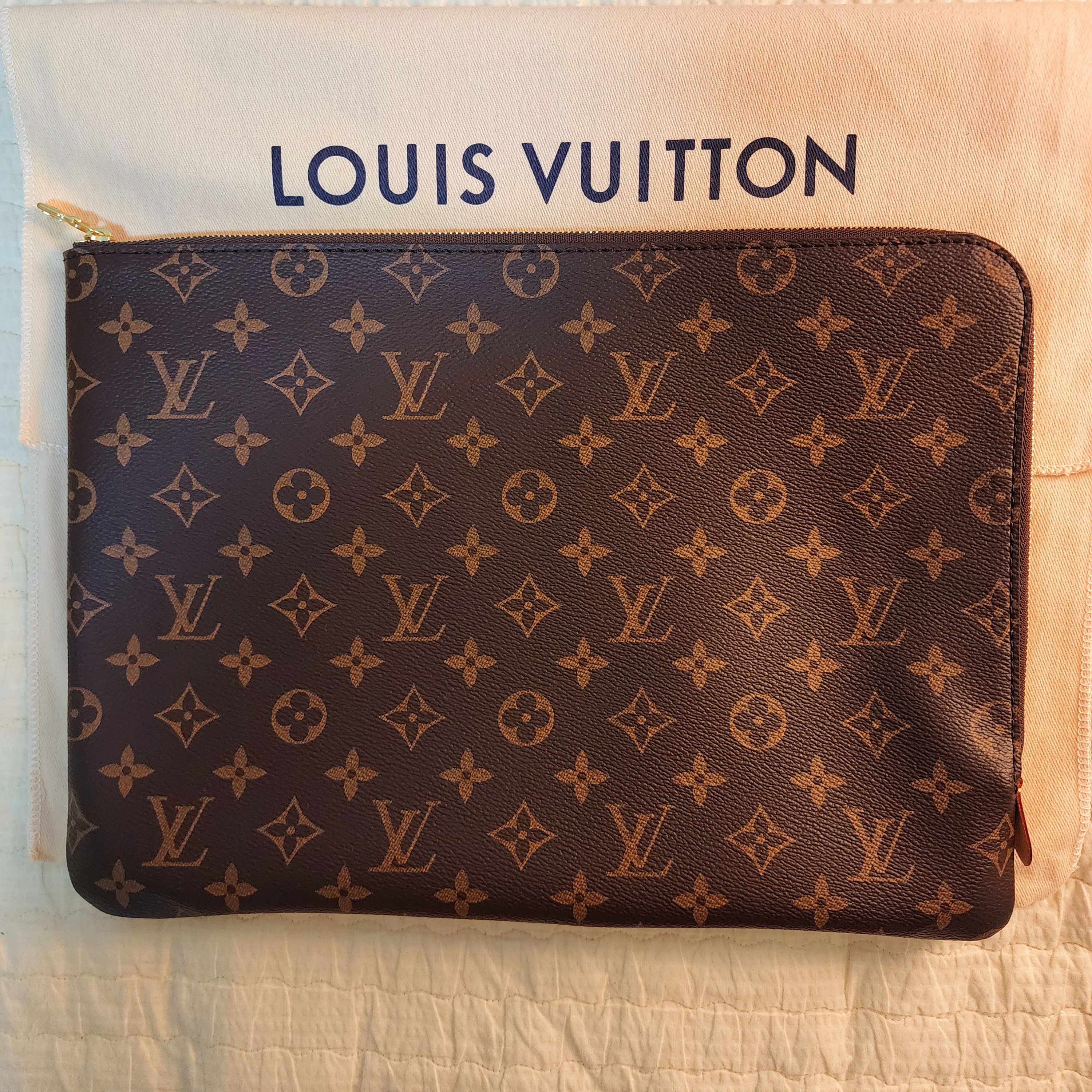 Louis Vuitton Etui Voyage GM Monogram 착용 스타일 - 4