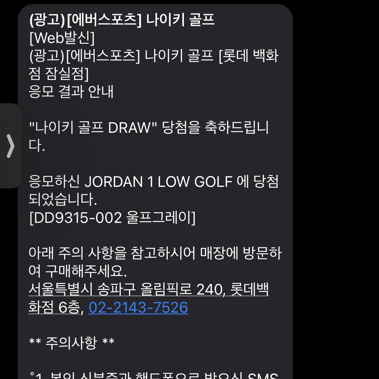 Jordan 1 Low Golf Wolf Grey 착용 스타일 - 1