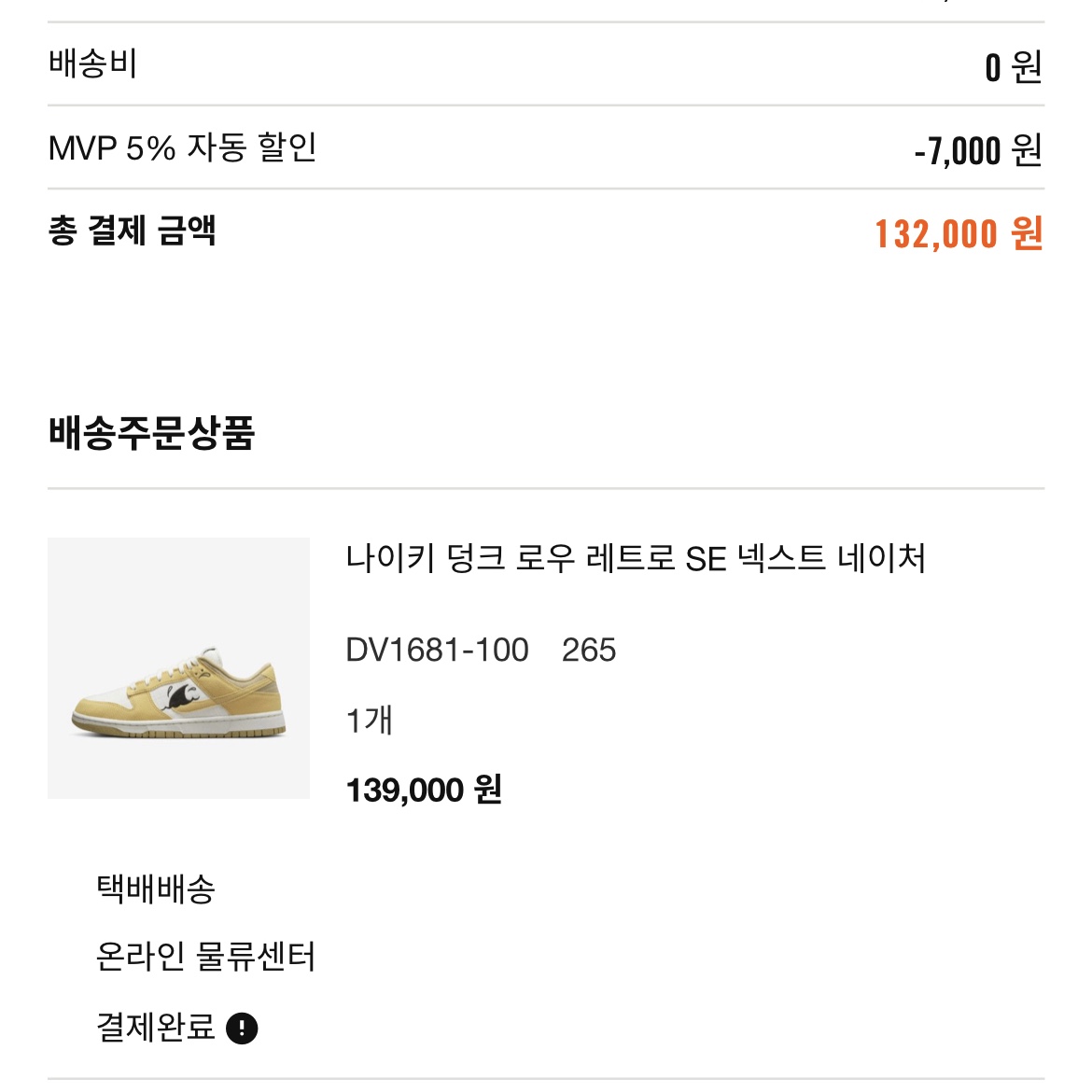 Nike Dunk Low Retro SE Next Nature Nike Sun Club 착용 스타일