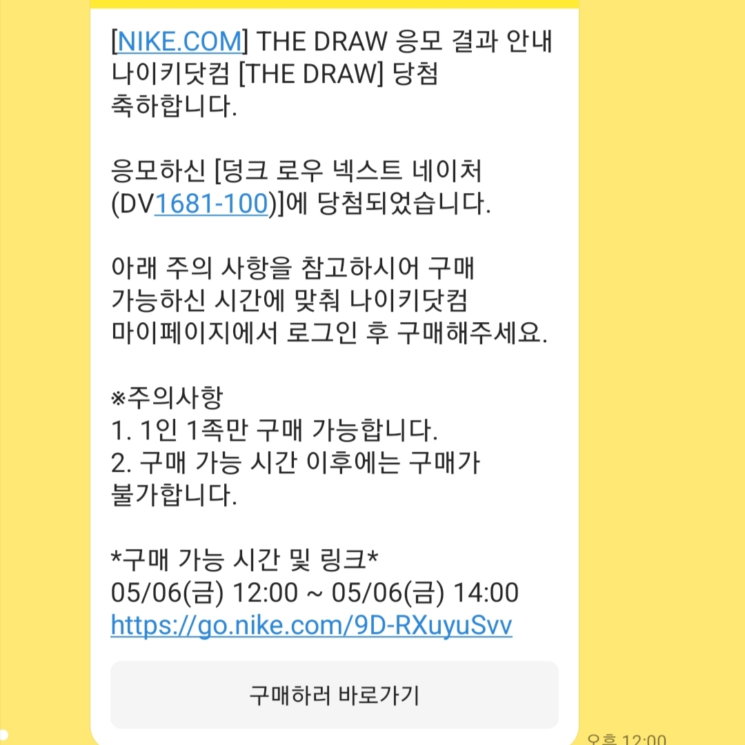 Nike Dunk Low Retro SE Next Nature Nike Sun Club 착용 스타일