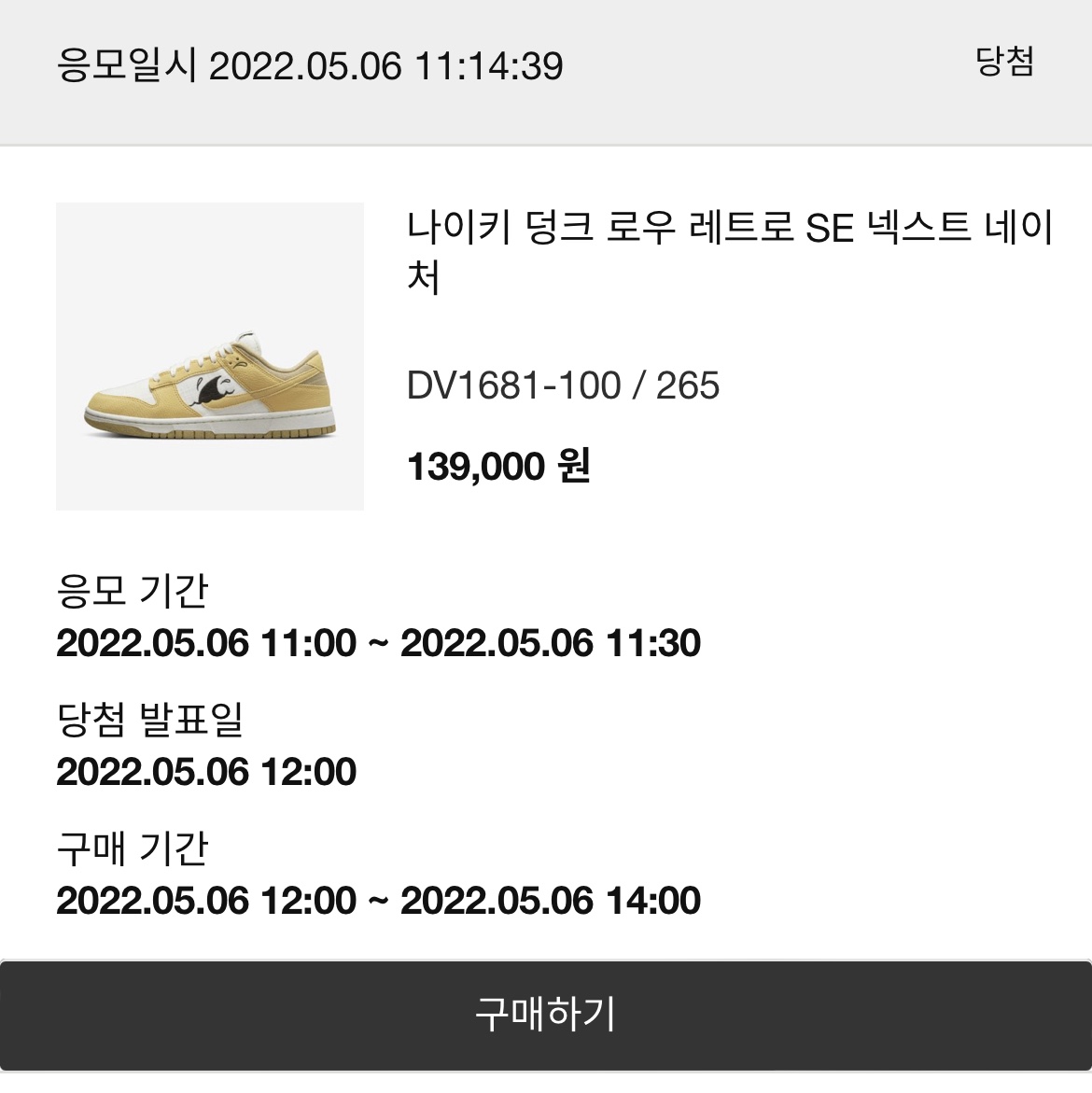 Nike Dunk Low Retro SE Next Nature Nike Sun Club 착용 스타일