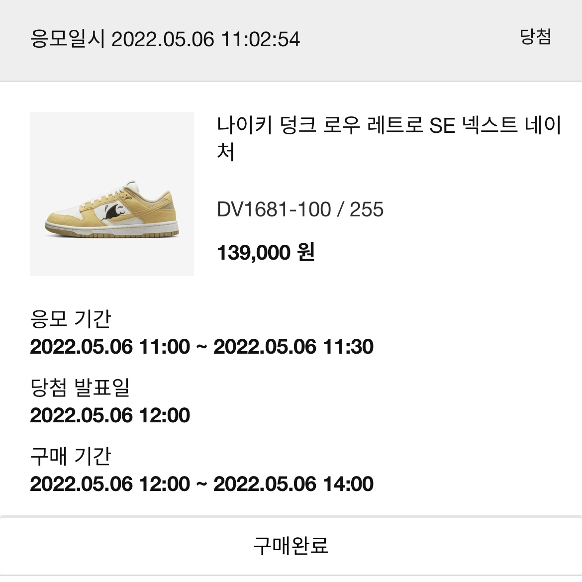 Nike Dunk Low Retro SE Next Nature Nike Sun Club 착용 스타일